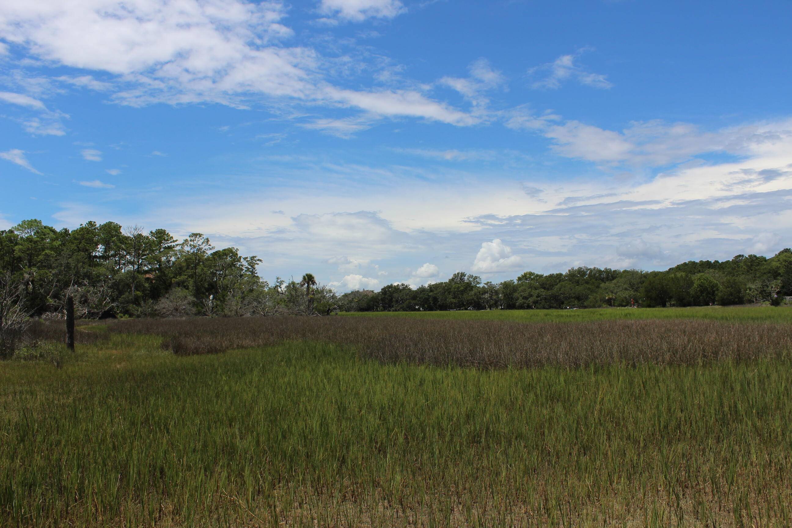 Edisto Island, SC 29438,8436 St Pierre Creek Dr