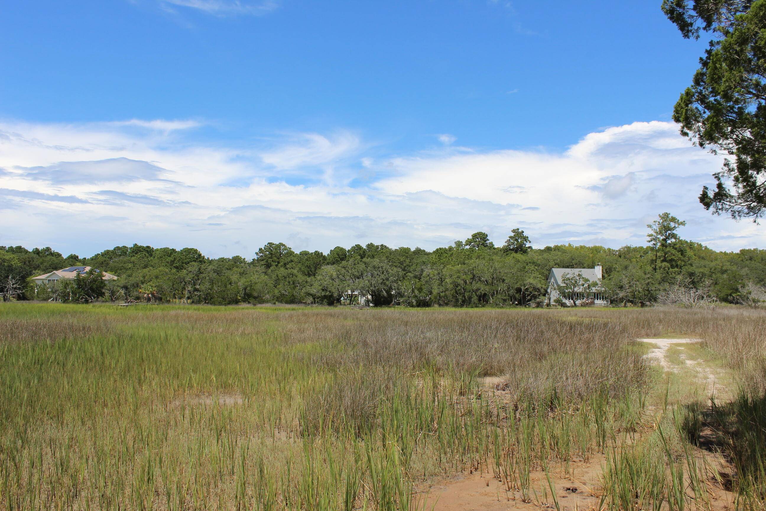 Edisto Island, SC 29438,8436 St Pierre Creek Dr