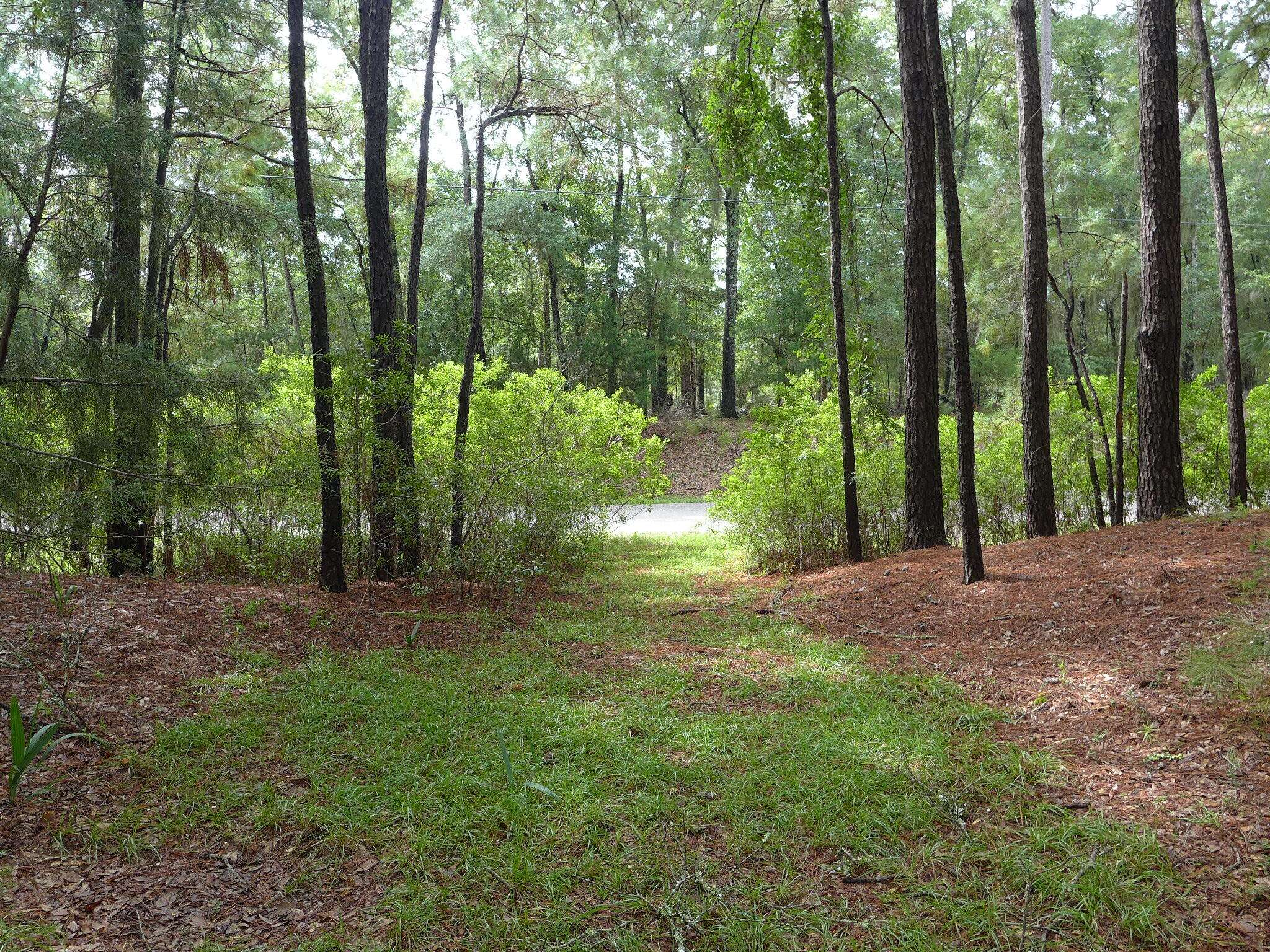 Edisto Island, SC 29438,0 Palmetto Rd