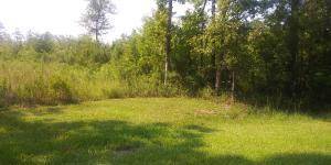 Saint Stephen, SC 29479,0 Spring Dell Way