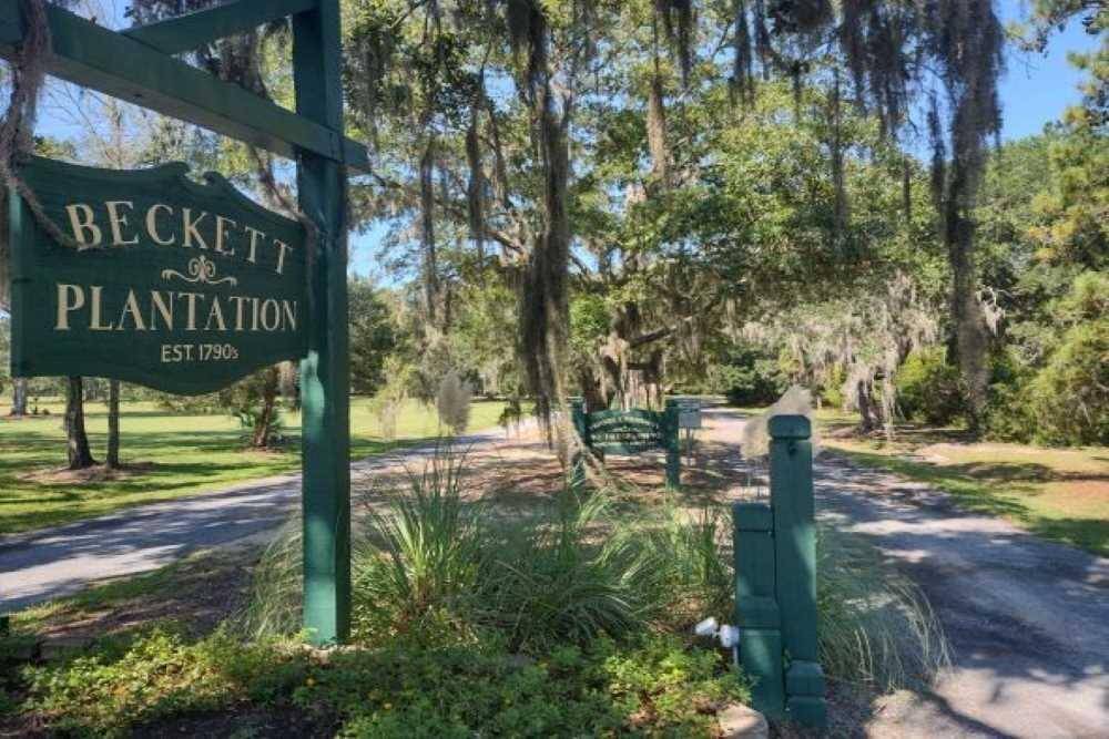 Edisto Island, SC 29438,8450 St Pierre Creek Dr