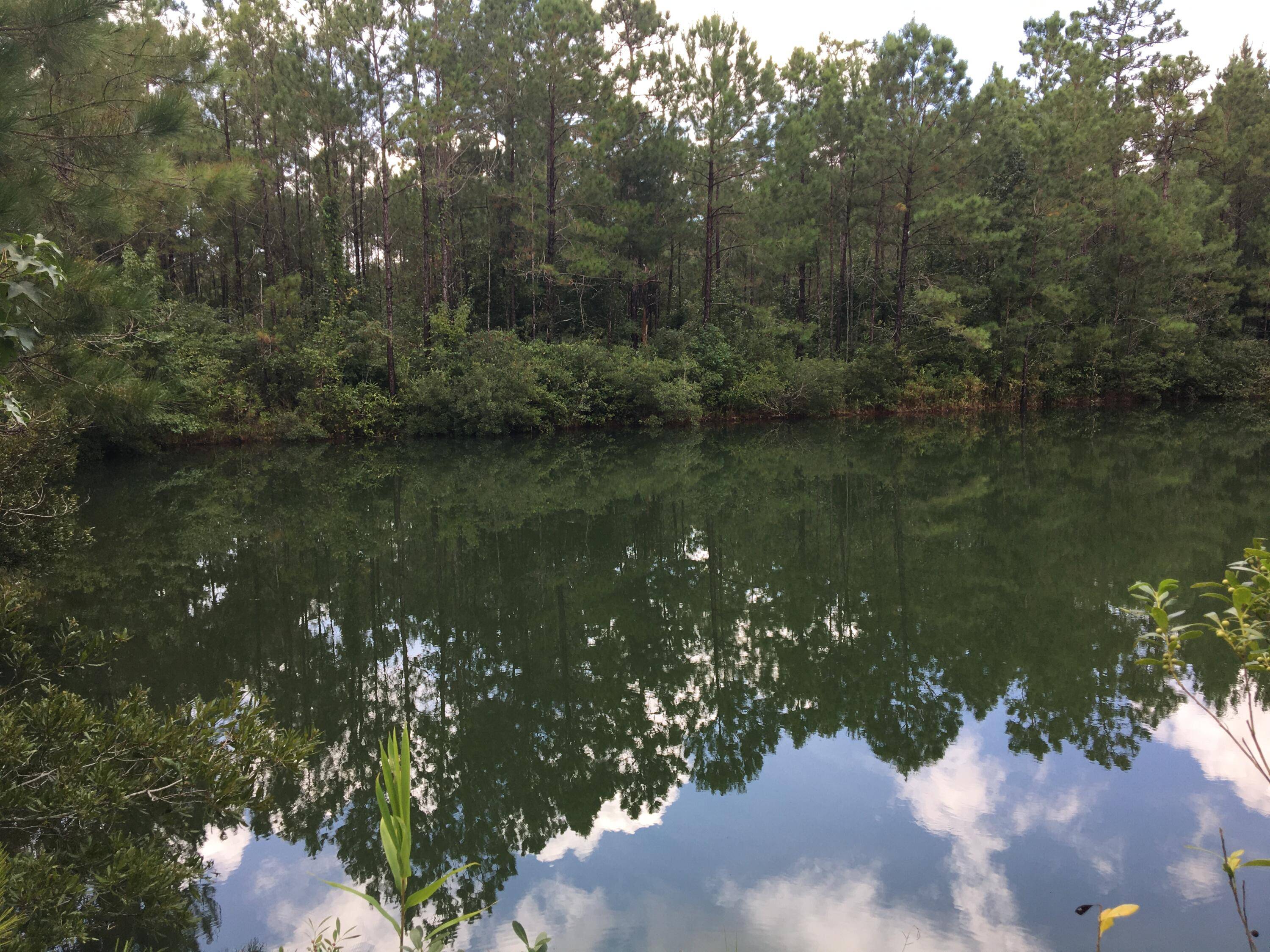 Mcclellanville, SC 29458,0 Sc-45