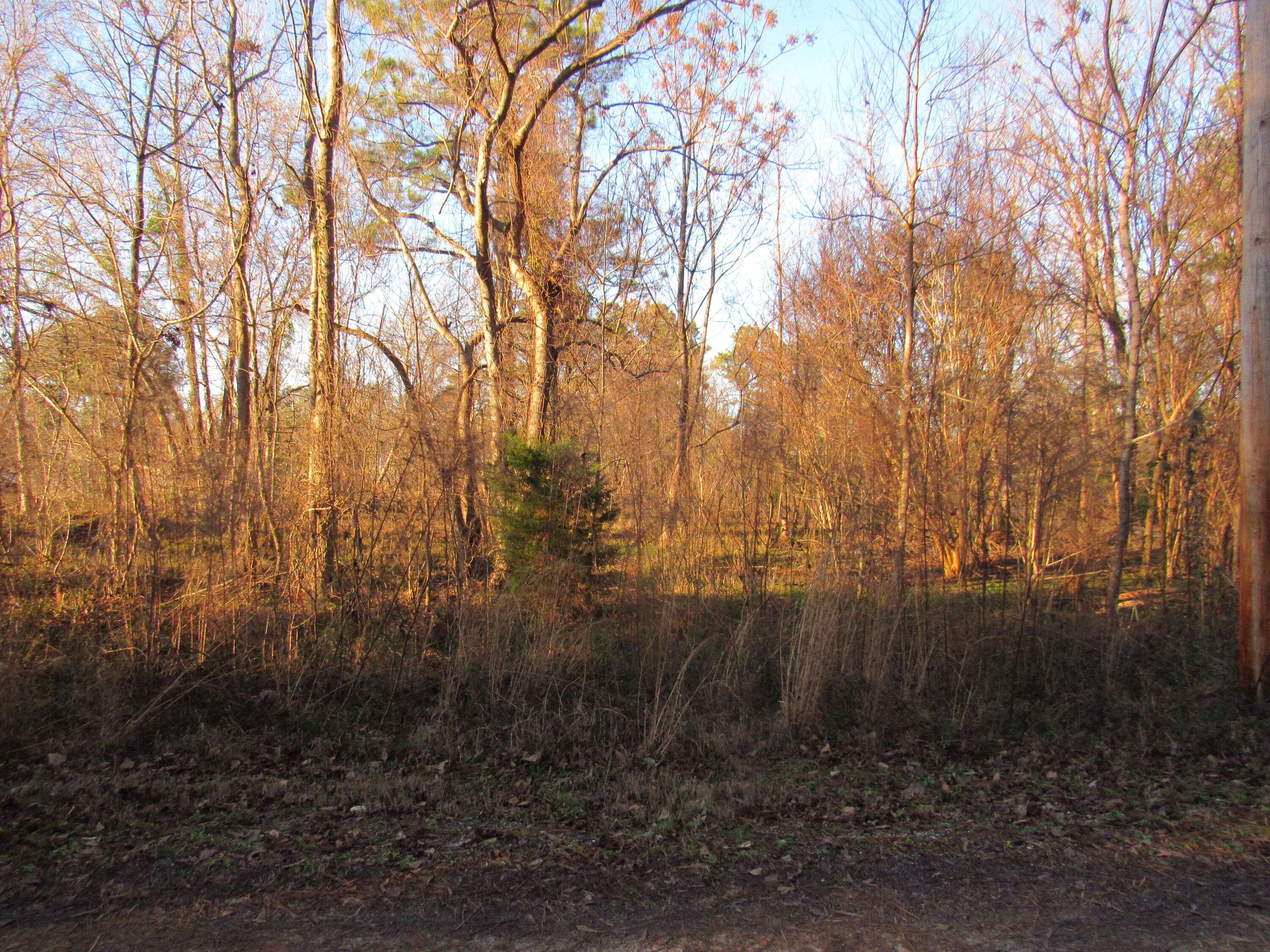 Summerton, SC 29148,Lot 42 Hudson Rd