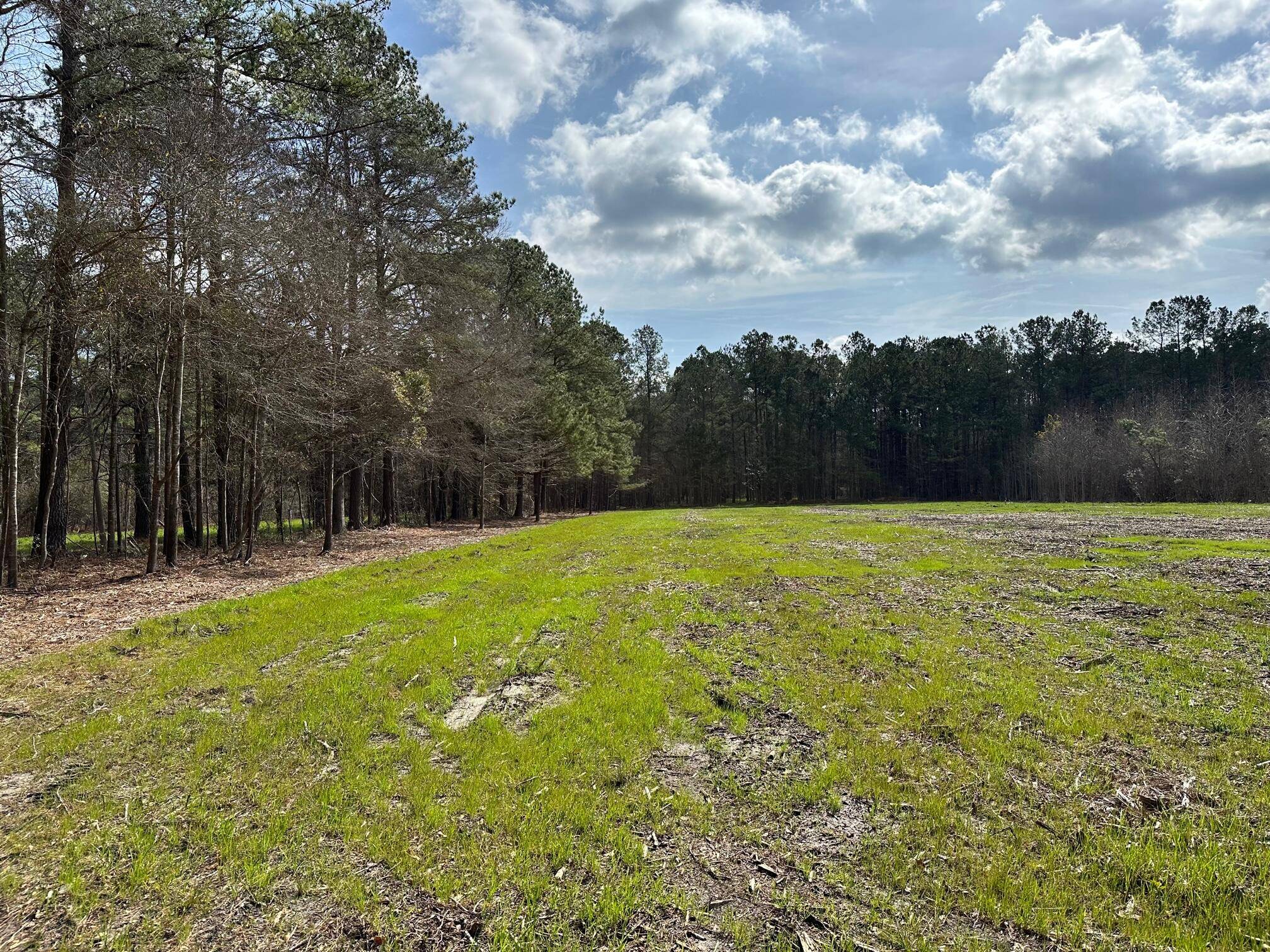 Ridgeville, SC 29472,3 Sampson Road