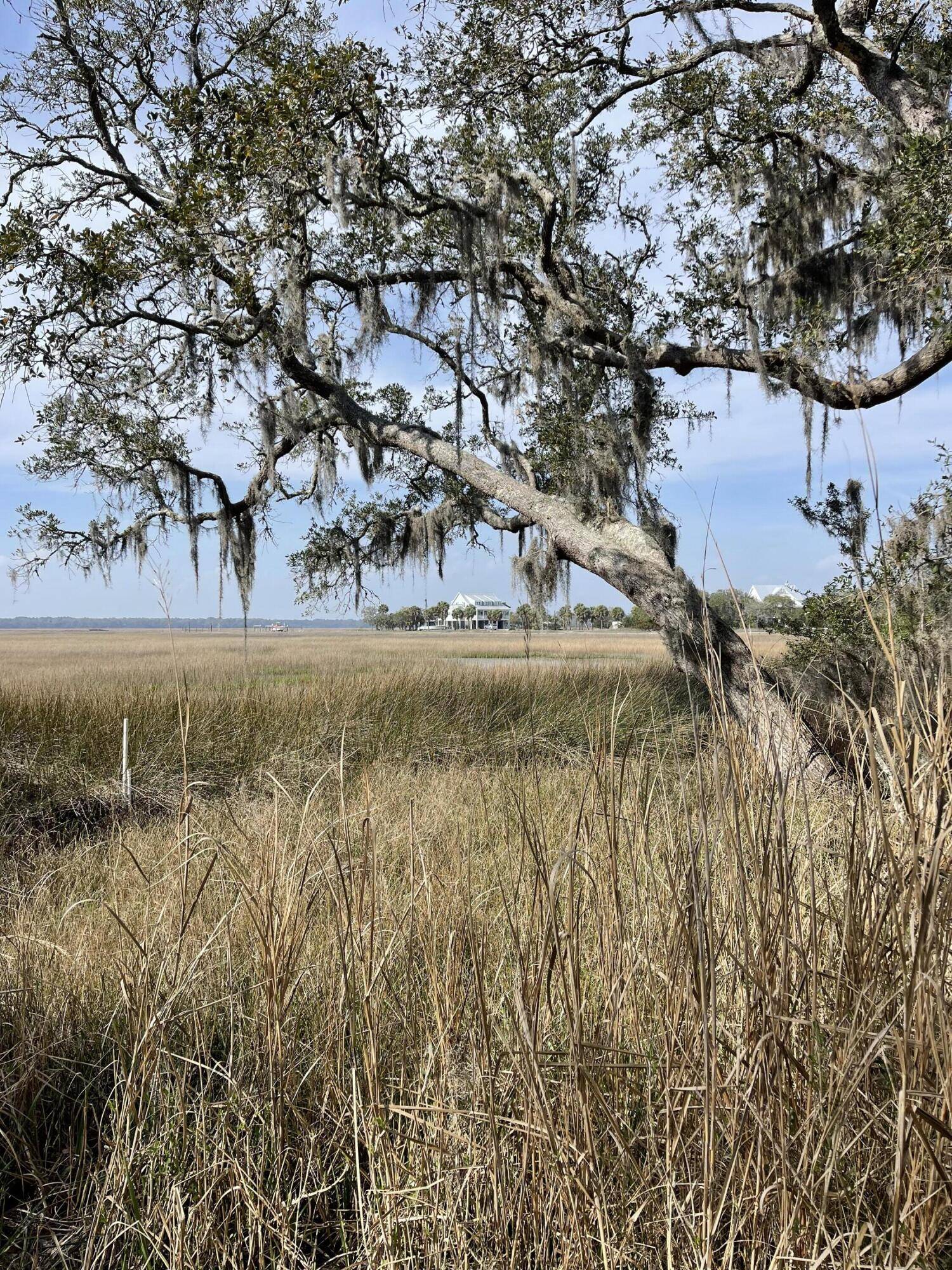 Edisto Island, SC 29438,33 Palmetto Rd