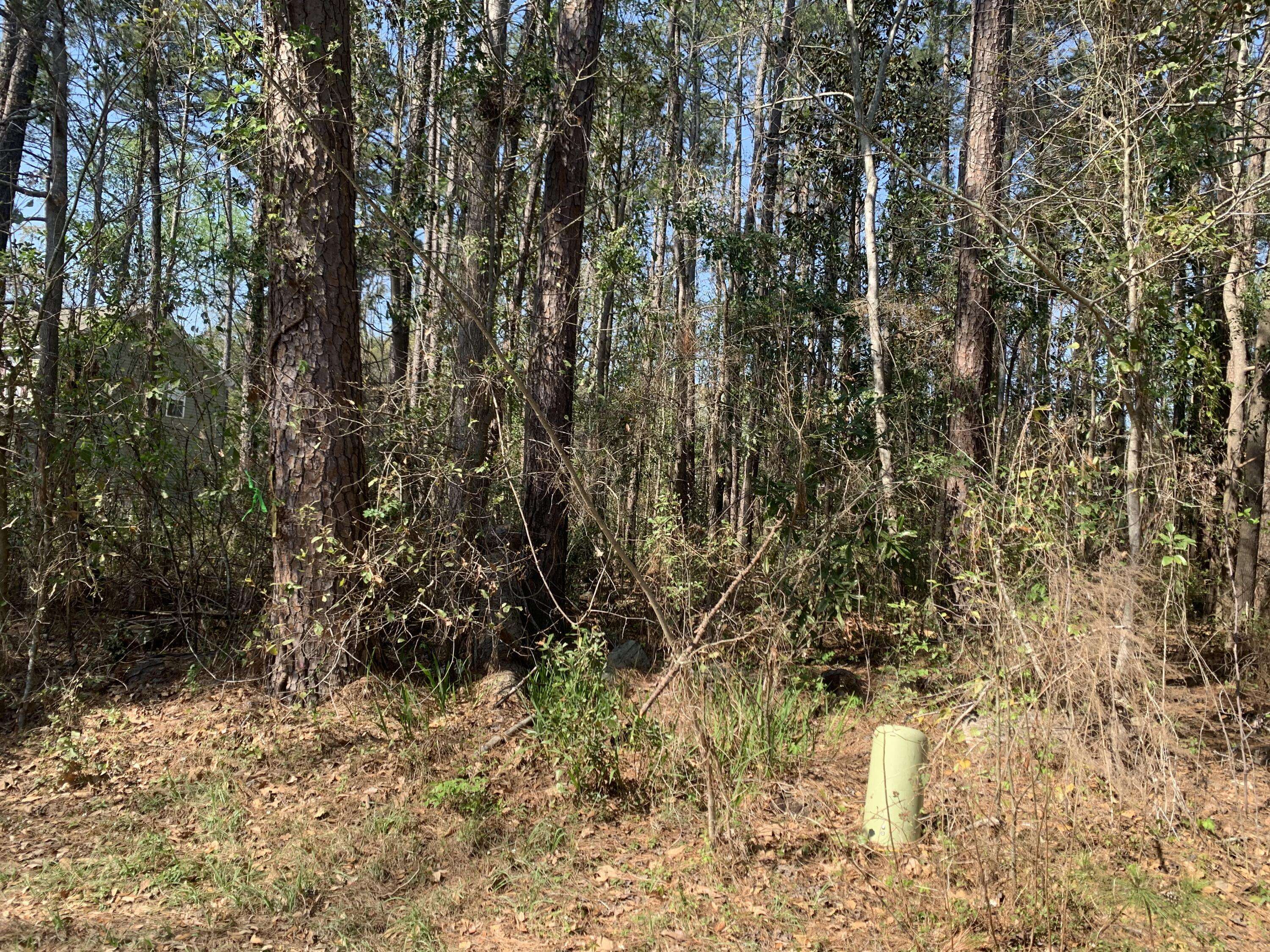 Summerville, SC 29485,145 Limehouse Dr