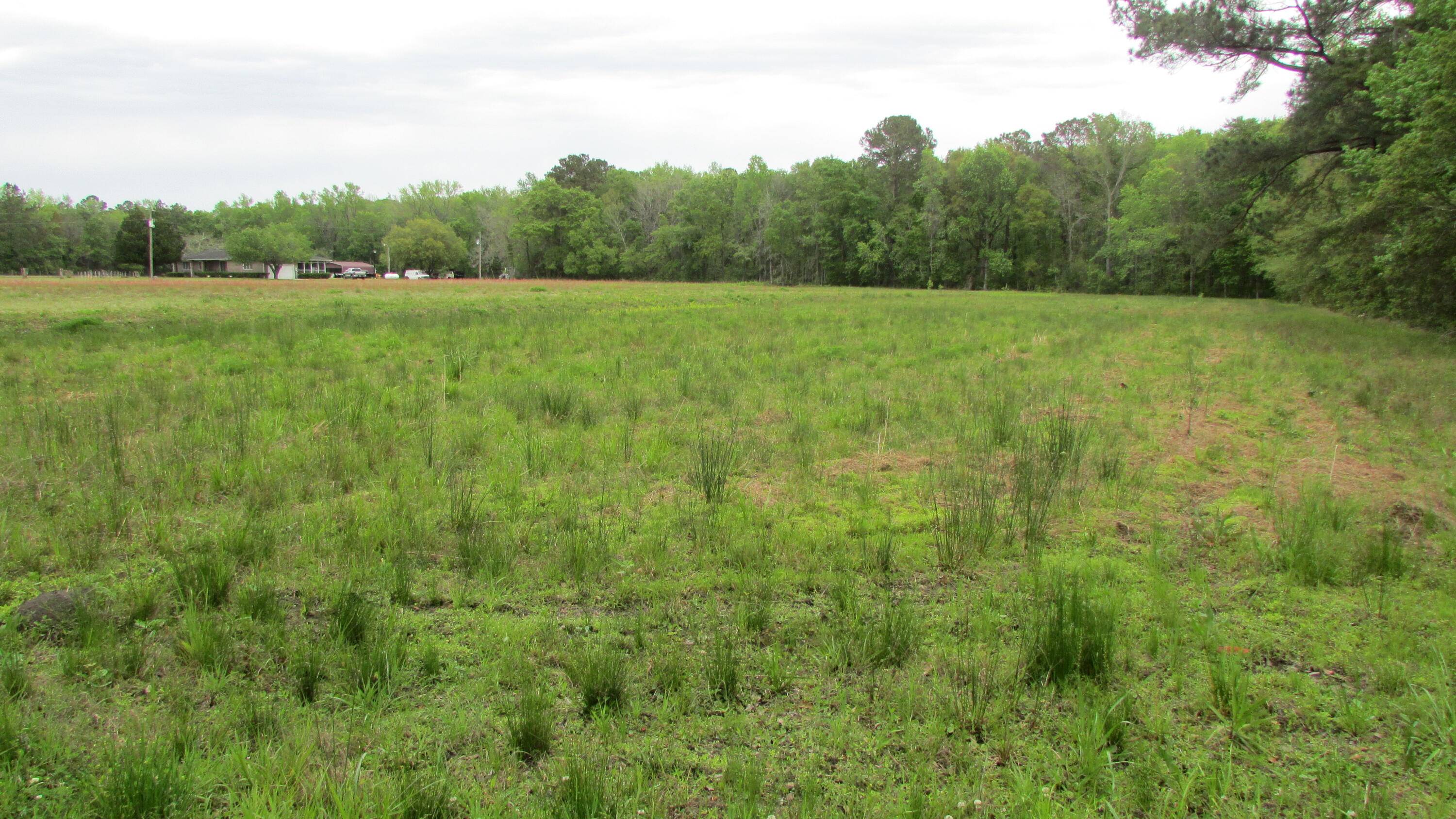 Johns Island, SC 29455,0 Benjamin Rd