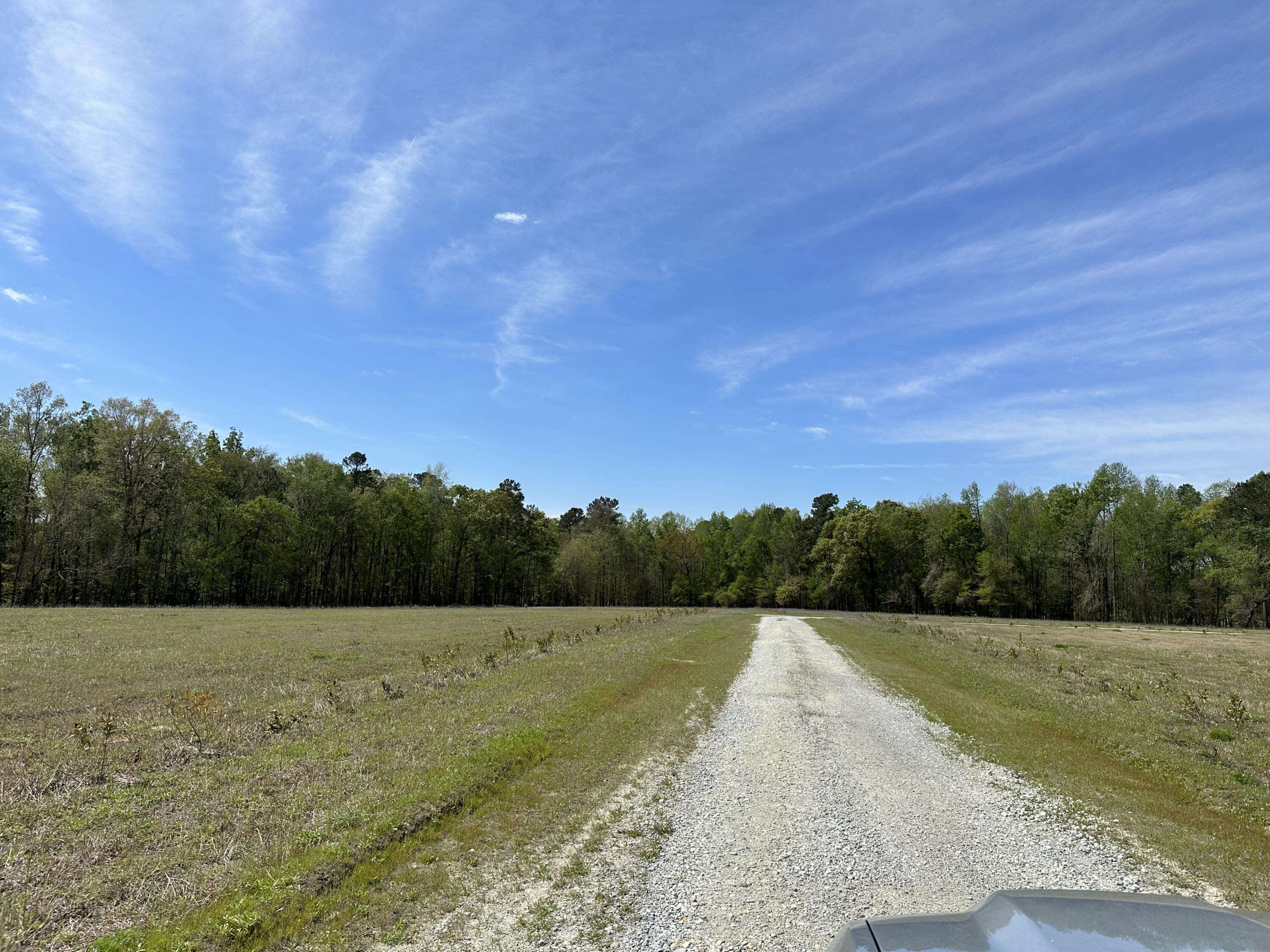 Ridgeville, SC 29472,3 Highway 27