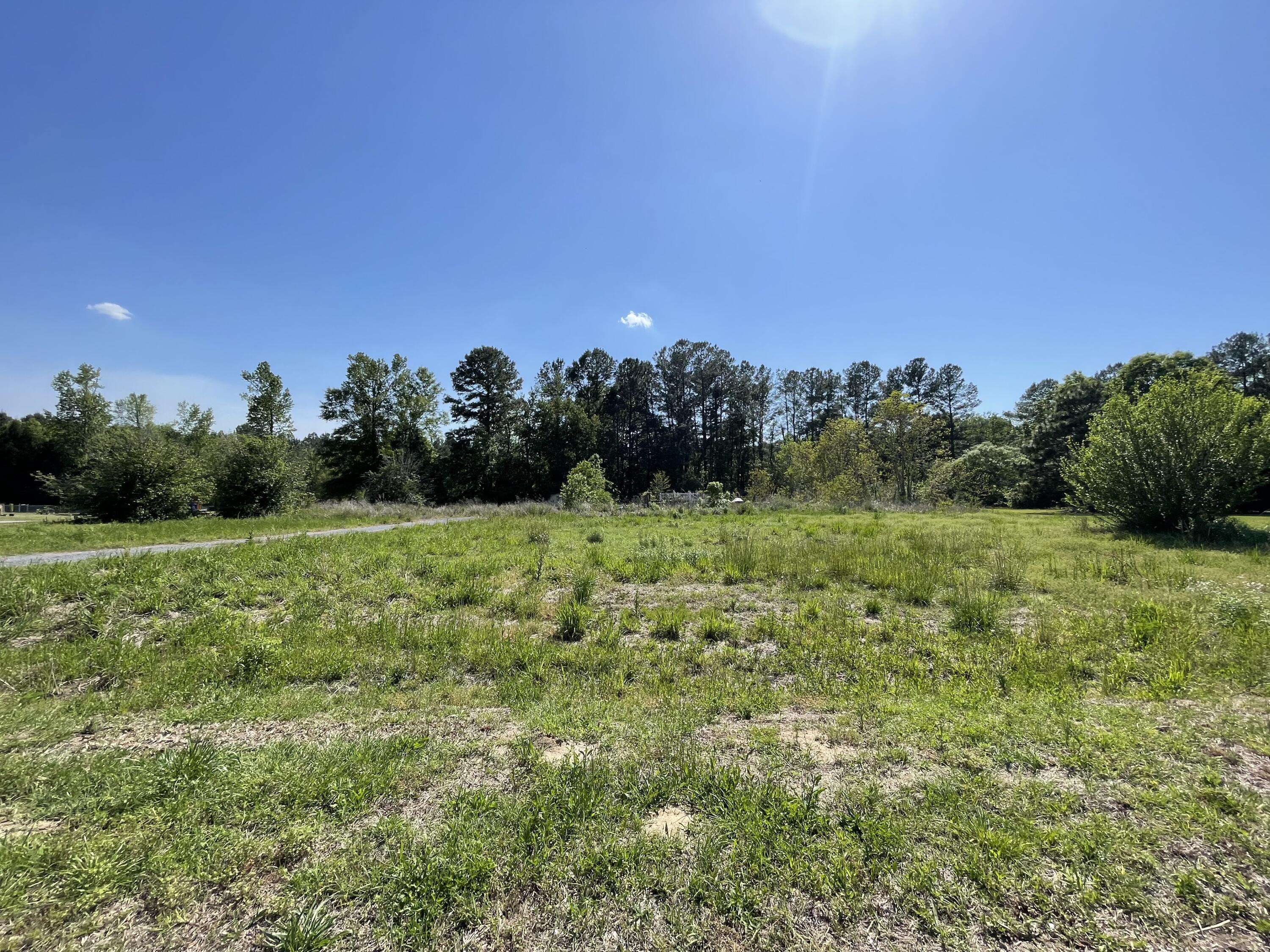 Bonneau, SC 29431,113 W Cotton Patch Ln