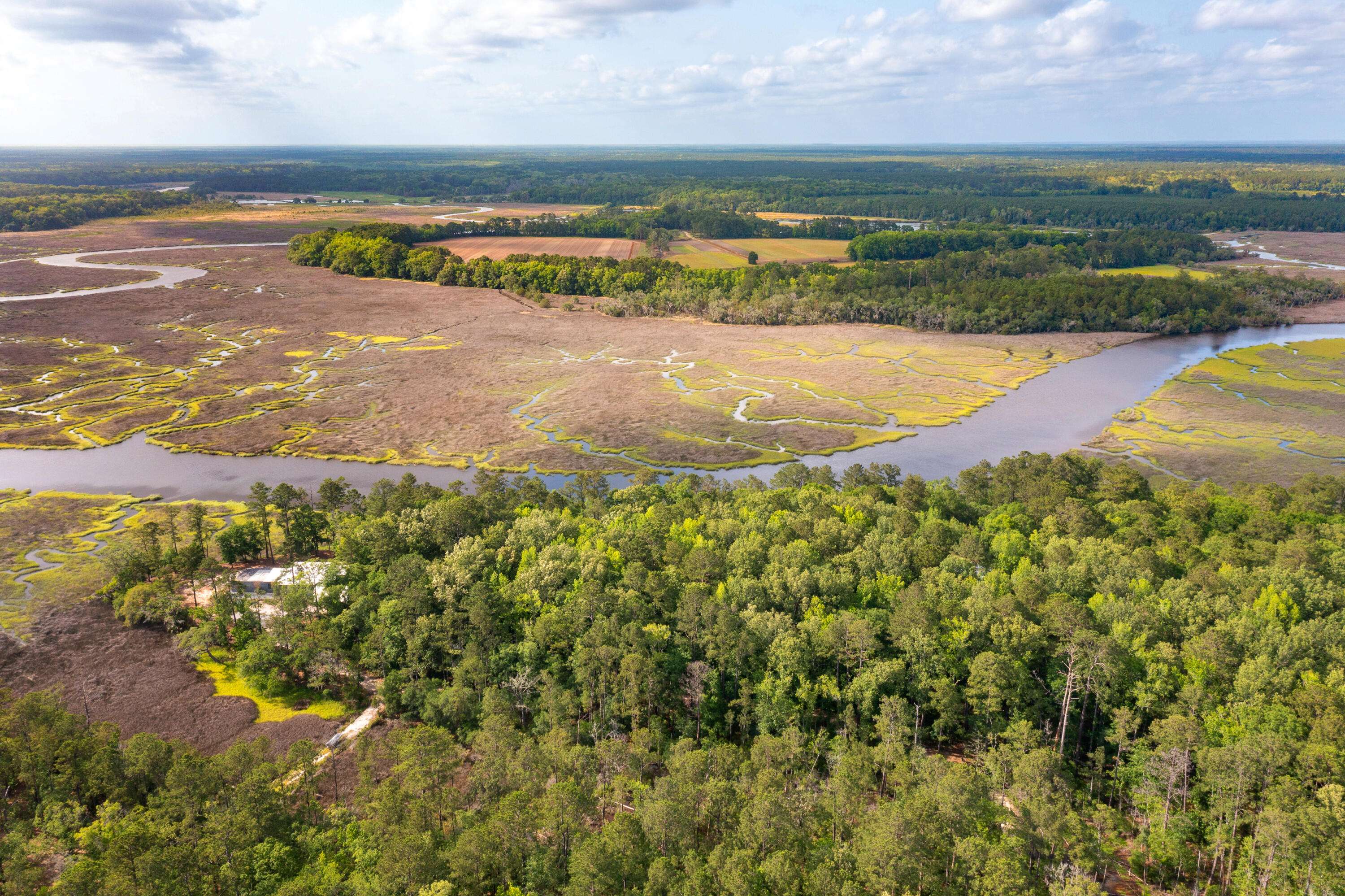 Green Pond, SC 29446,266 Royal Fern Ln