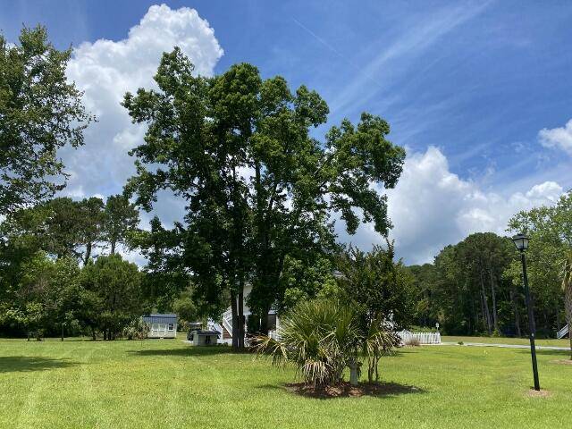 Edisto Island, SC 29438,25 Blackbear Rd