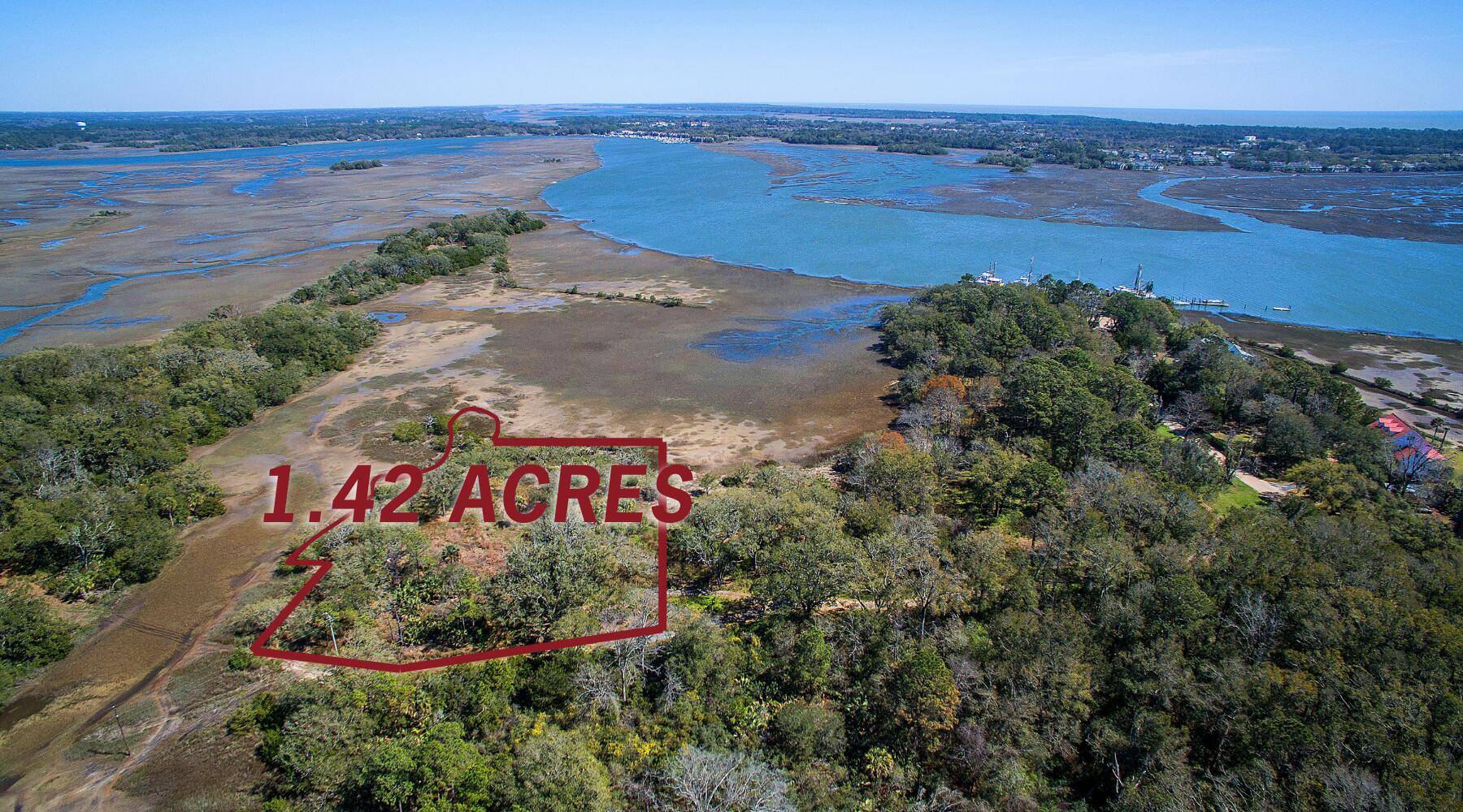 Wadmalaw Island, SC 29487,7045 Whistling Alligator Way