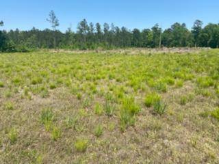 Summerville, SC 29486,00 Calamus Pond Road