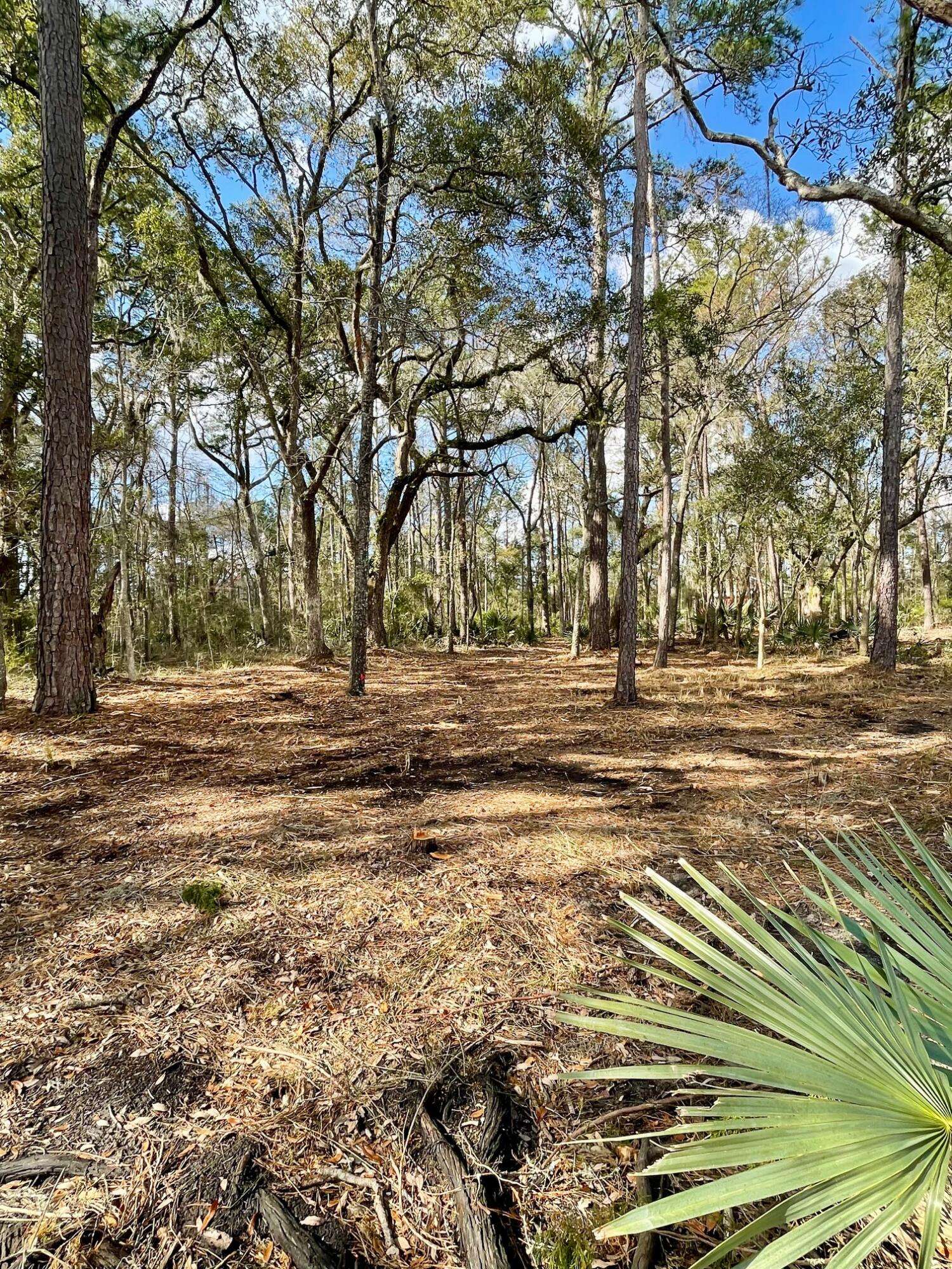 Meggett, SC 29449,Lot D-2 7743 Toogoodoo Rd