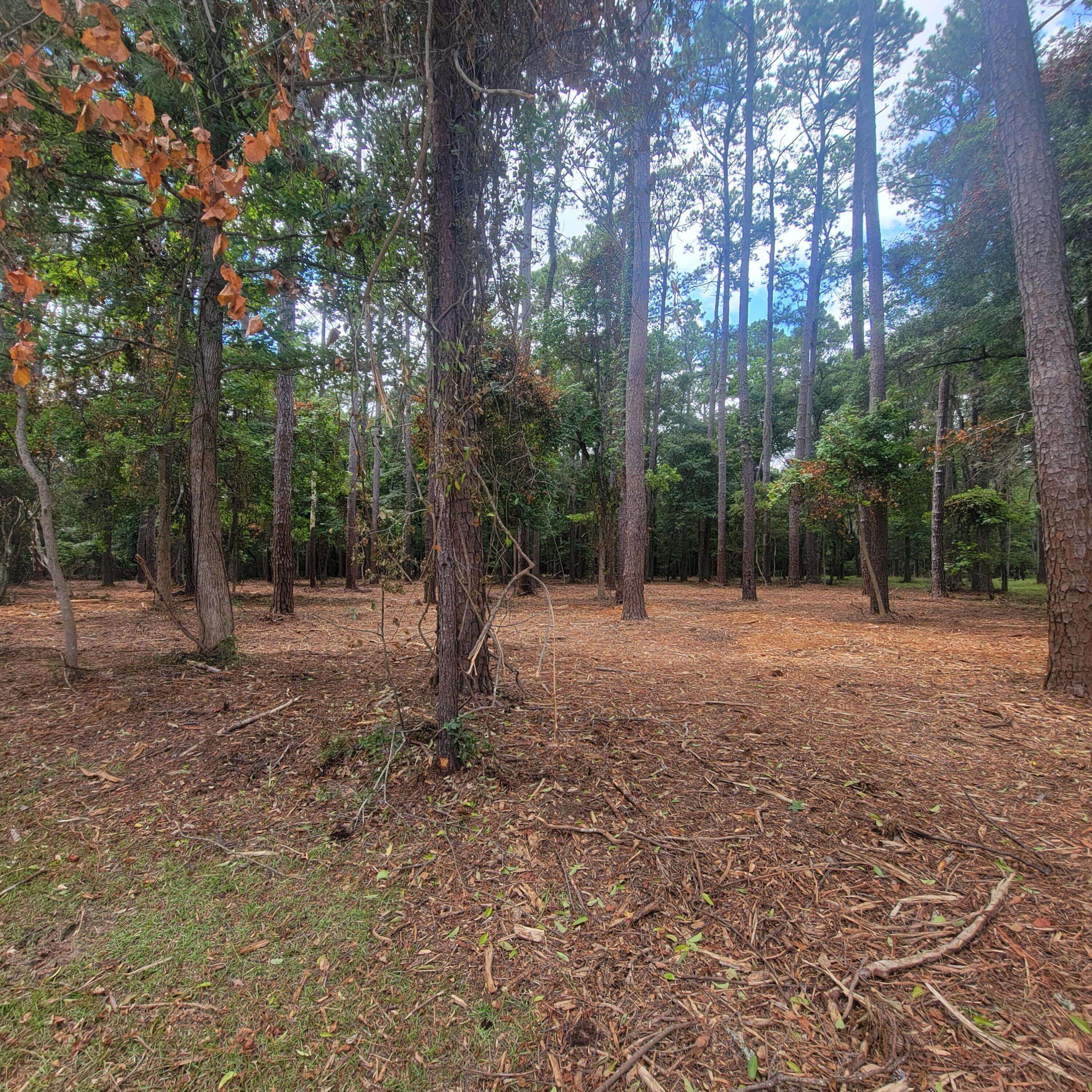 Edisto Island, SC 29438,7787 Chaplin Garden Ln