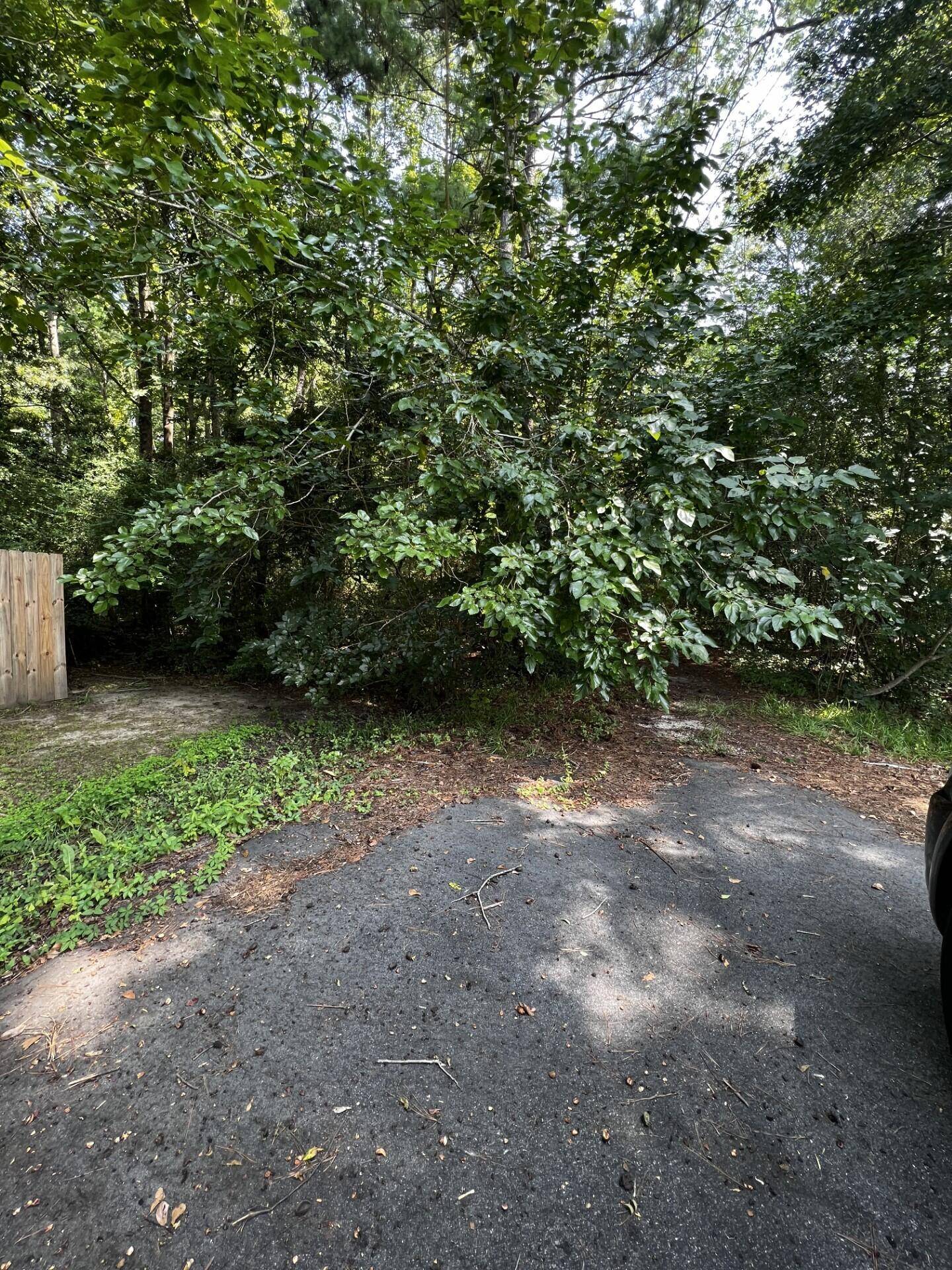 Goose Creek, SC 29445,000 Morrison Dr