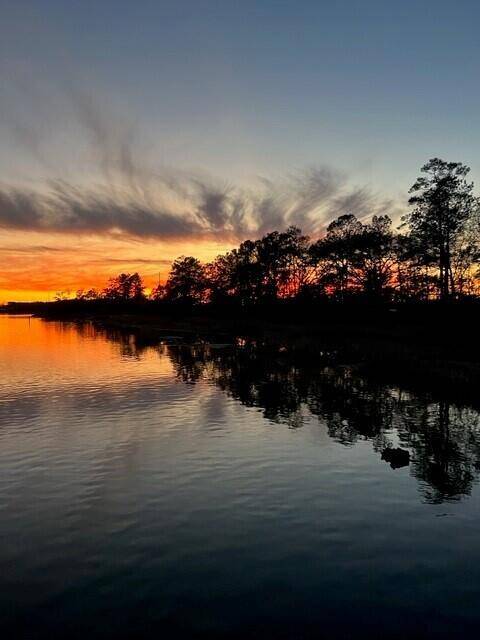 Charleston, SC 29492,364 Blowing Fresh Dr