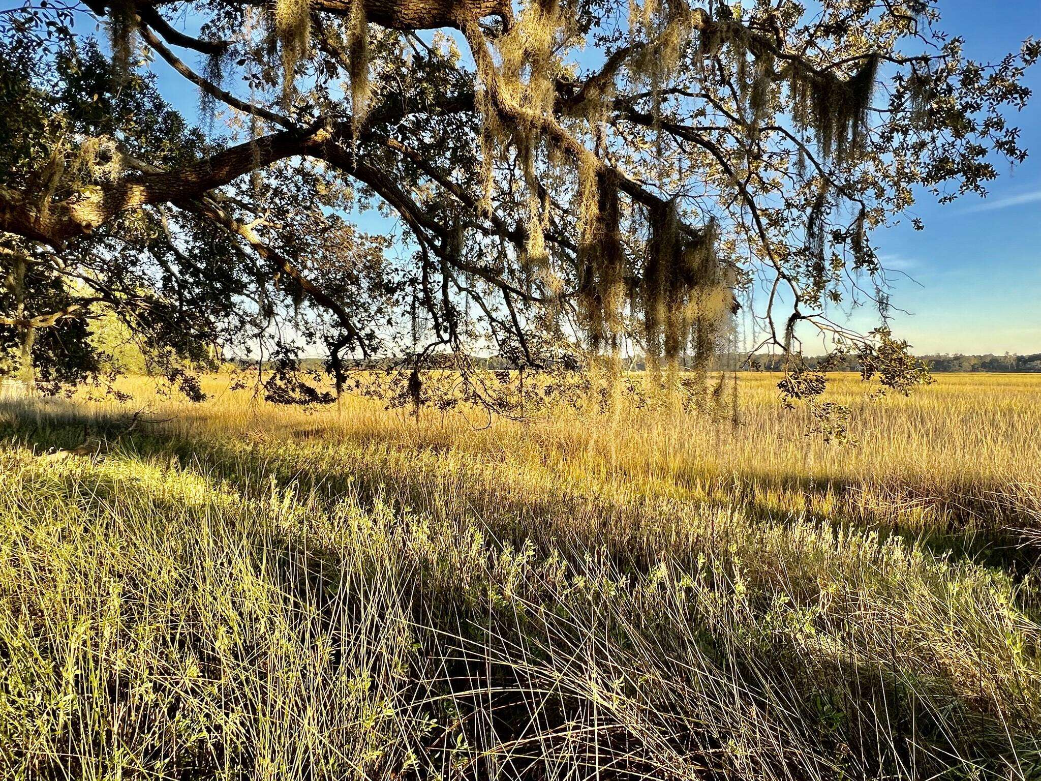 Seabrook, SC 29940,481 Paige Point