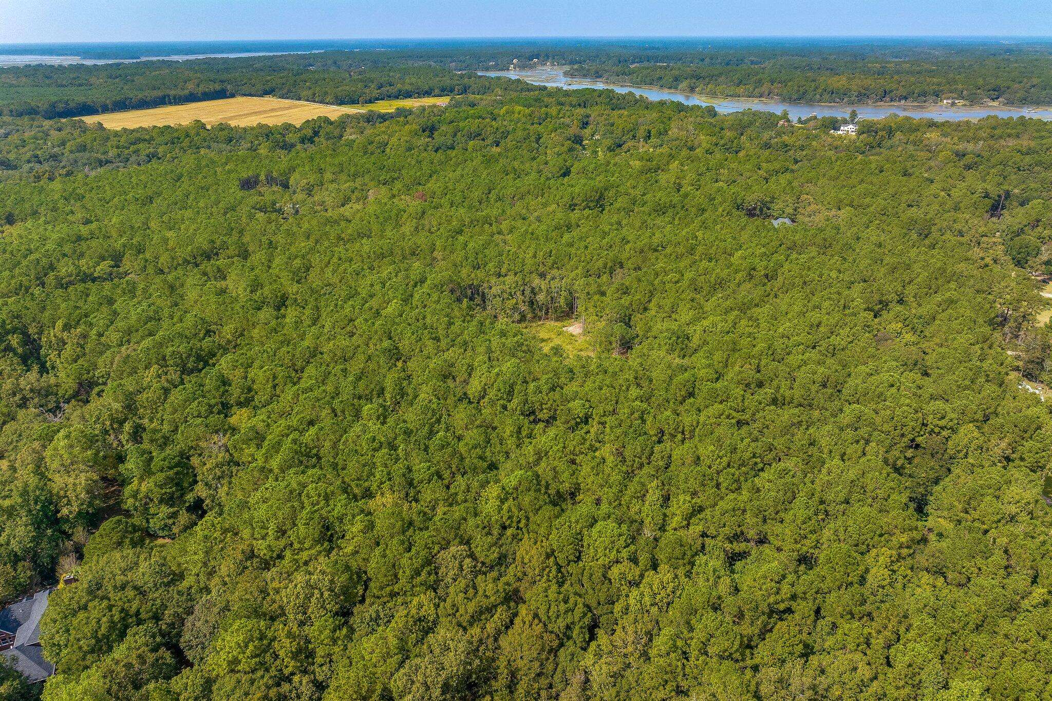 Wadmalaw Island, SC 29487,1830 Longcreek Rd