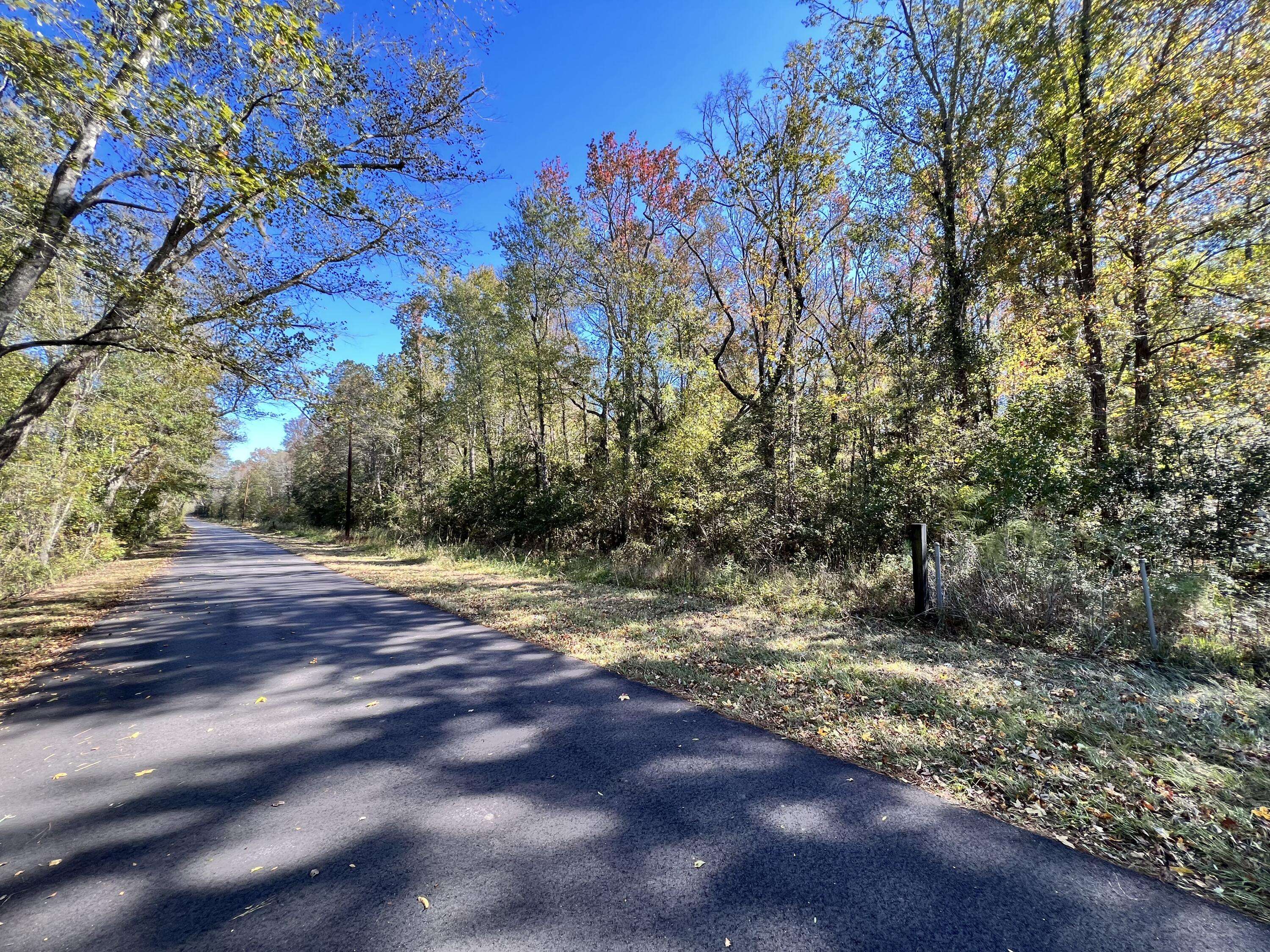 Ridgeville, SC 29472,00 Shoofly Road Rd
