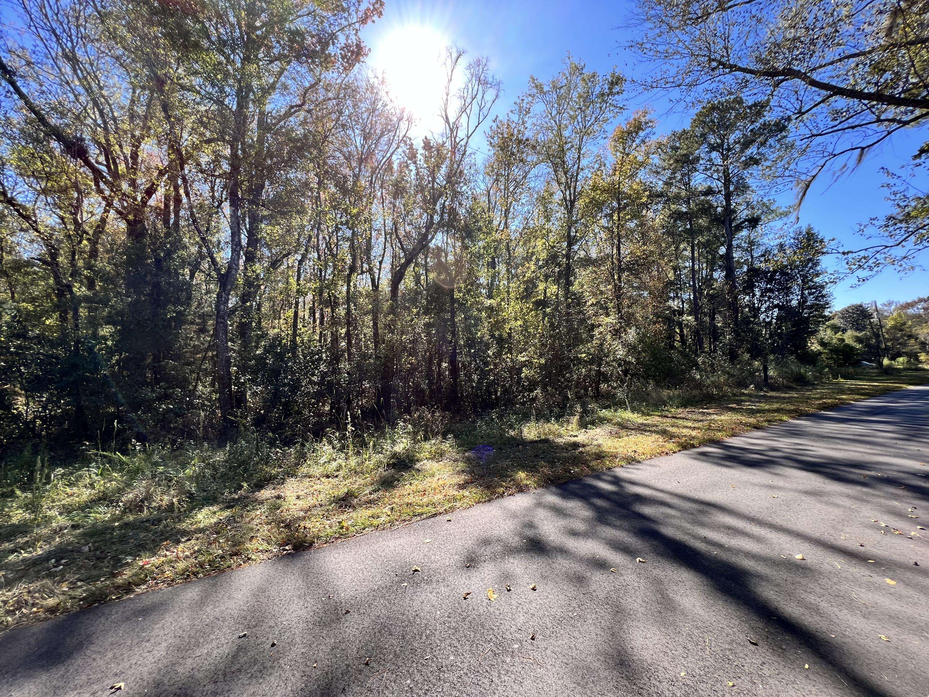 Ridgeville, SC 29472,00 Shoofly Road Rd