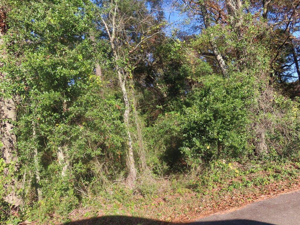 Santee, SC 29142,Lot 3 Graveyard Rock Rd