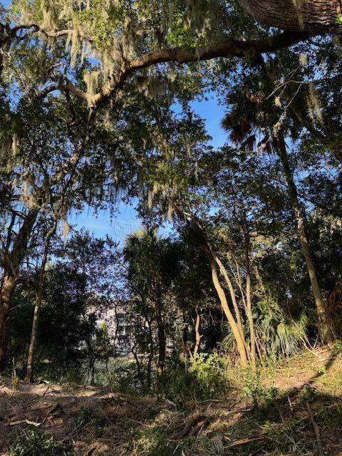 Edisto Island, SC 29438,546 Oristo Ridge Rd