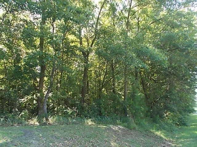 Moncks Corner, SC 29461,263 Monk Ln