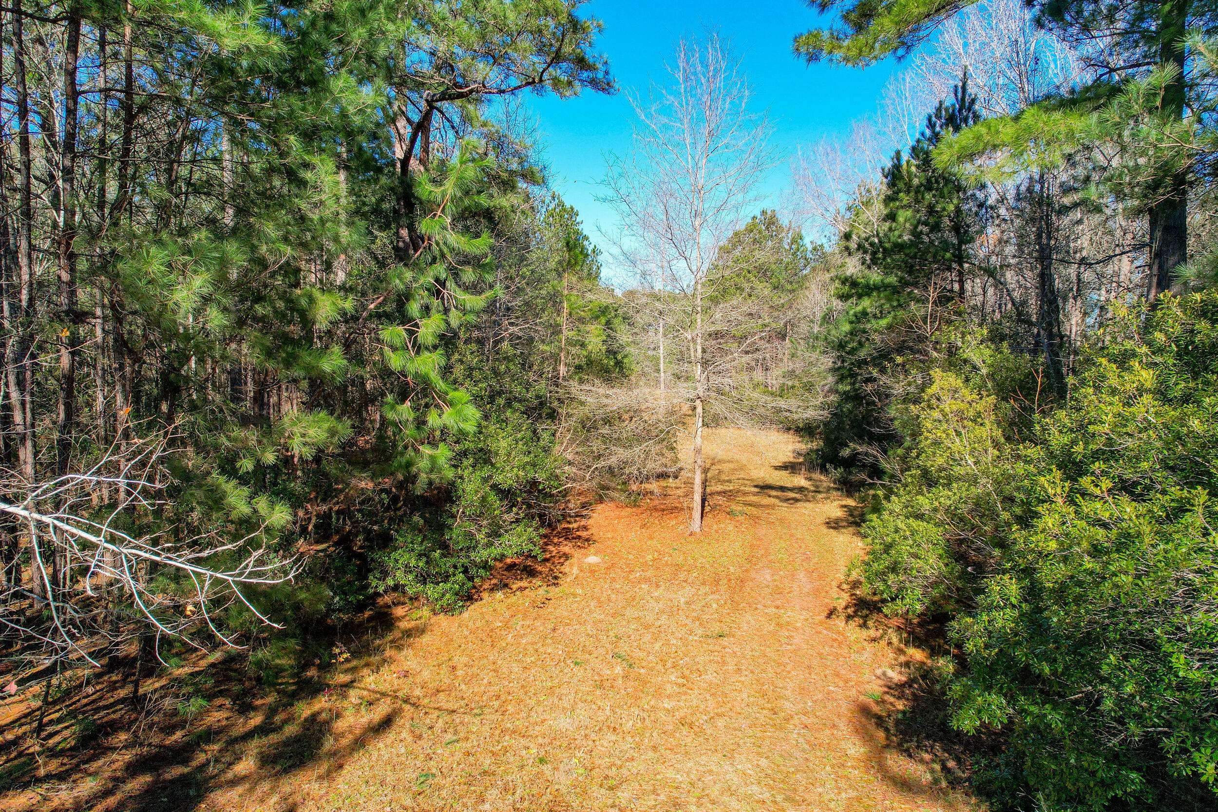 Cross, SC 29436,618 Murphy Bay Dr