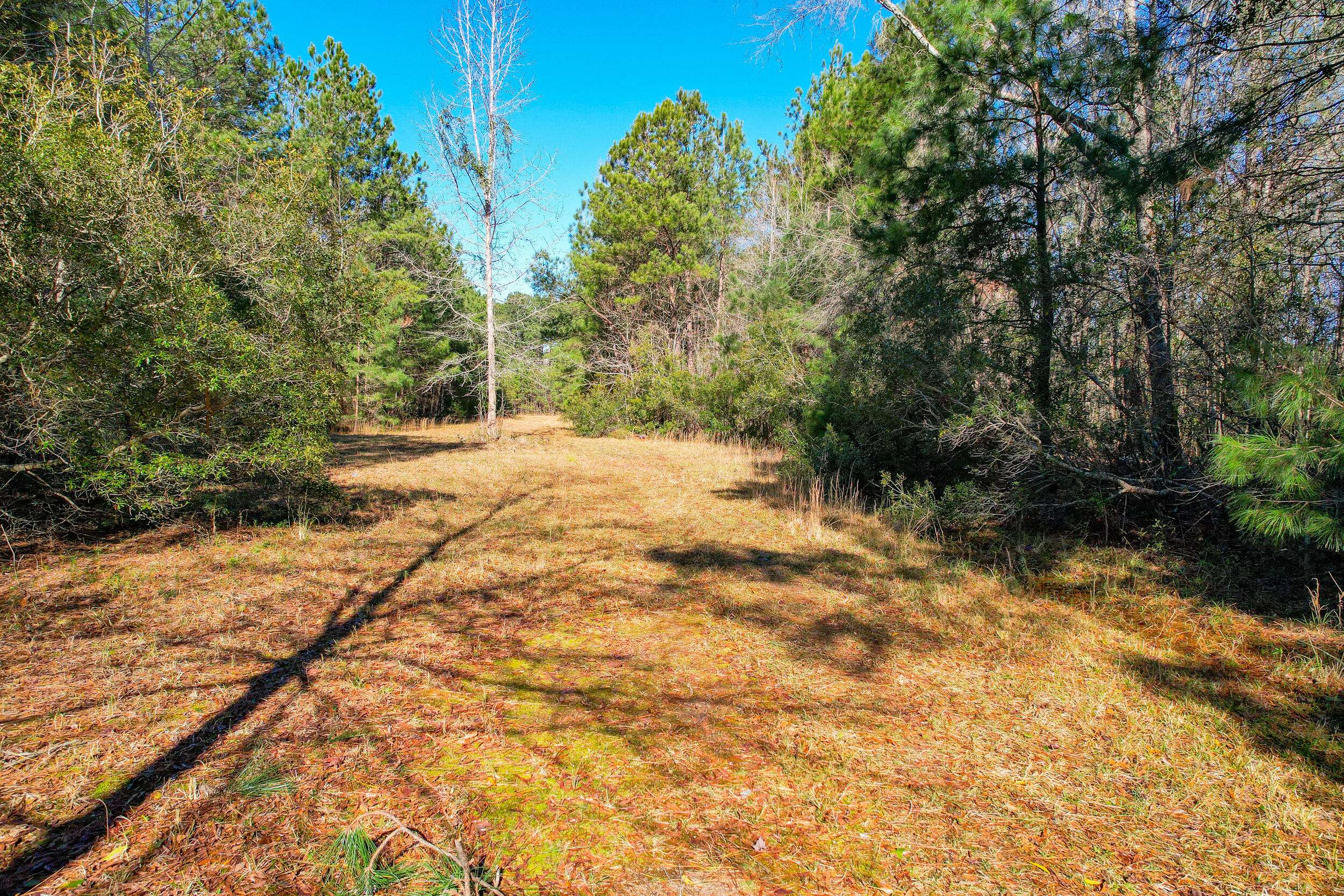 Cross, SC 29436,618 Murphy Bay Dr