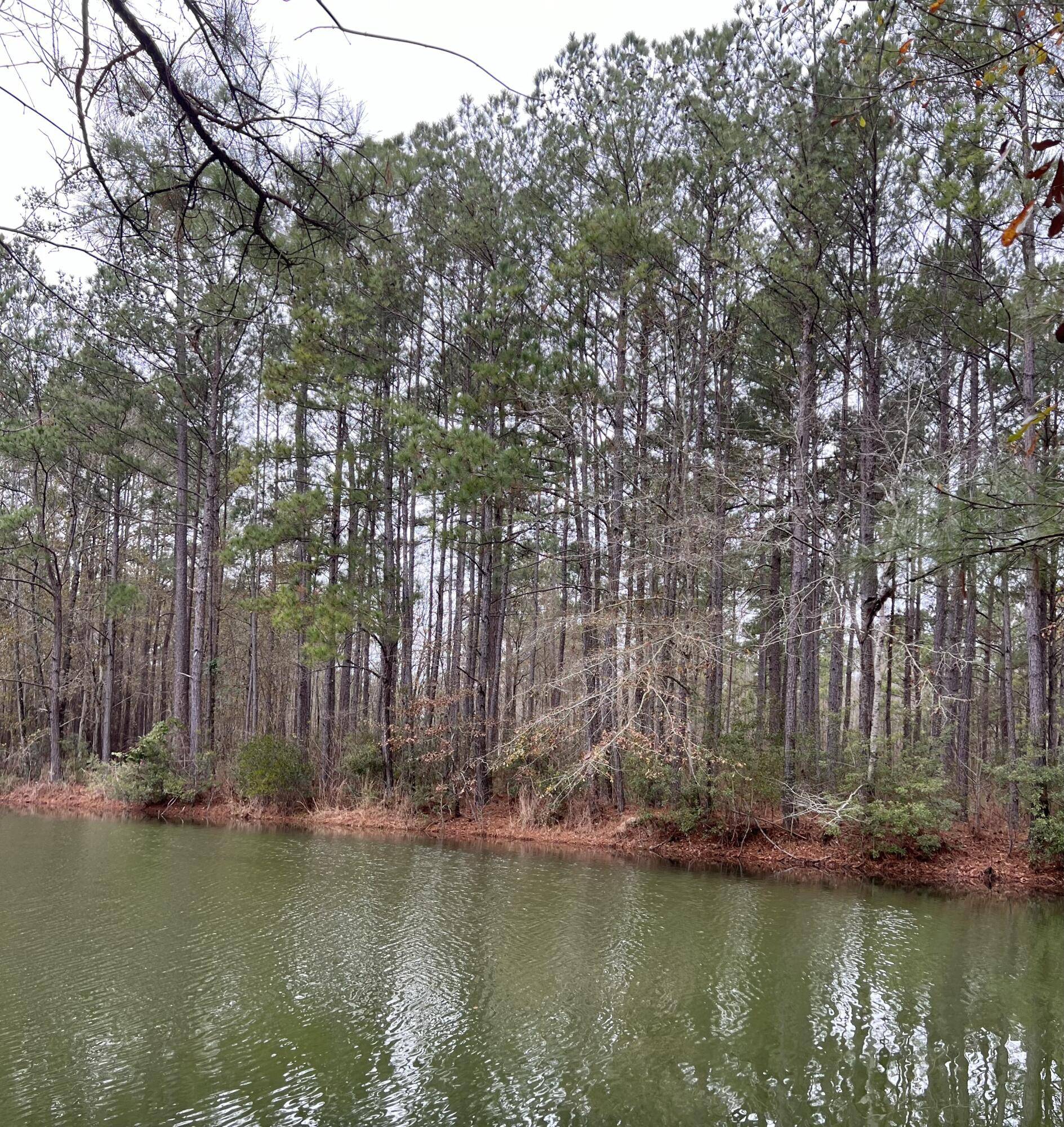 Elloree, SC 29047,00 Poplar Creek Dr