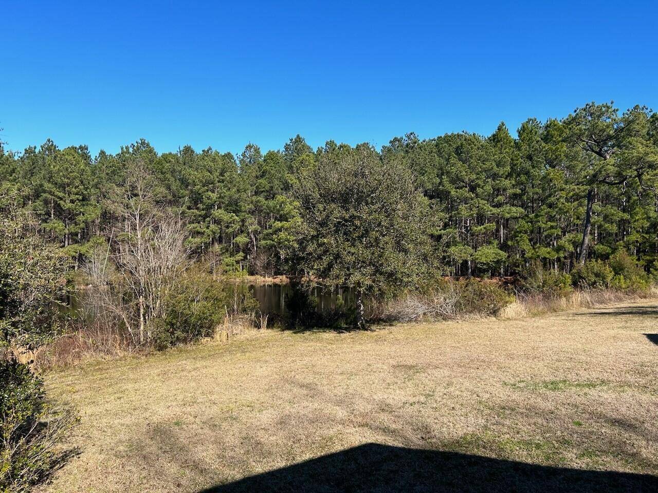 Georgetown, SC 29440,157 Noahs Mill Rd #Land