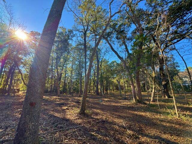 Edisto Island, SC 29438,Lot 2e Claussen House Dr