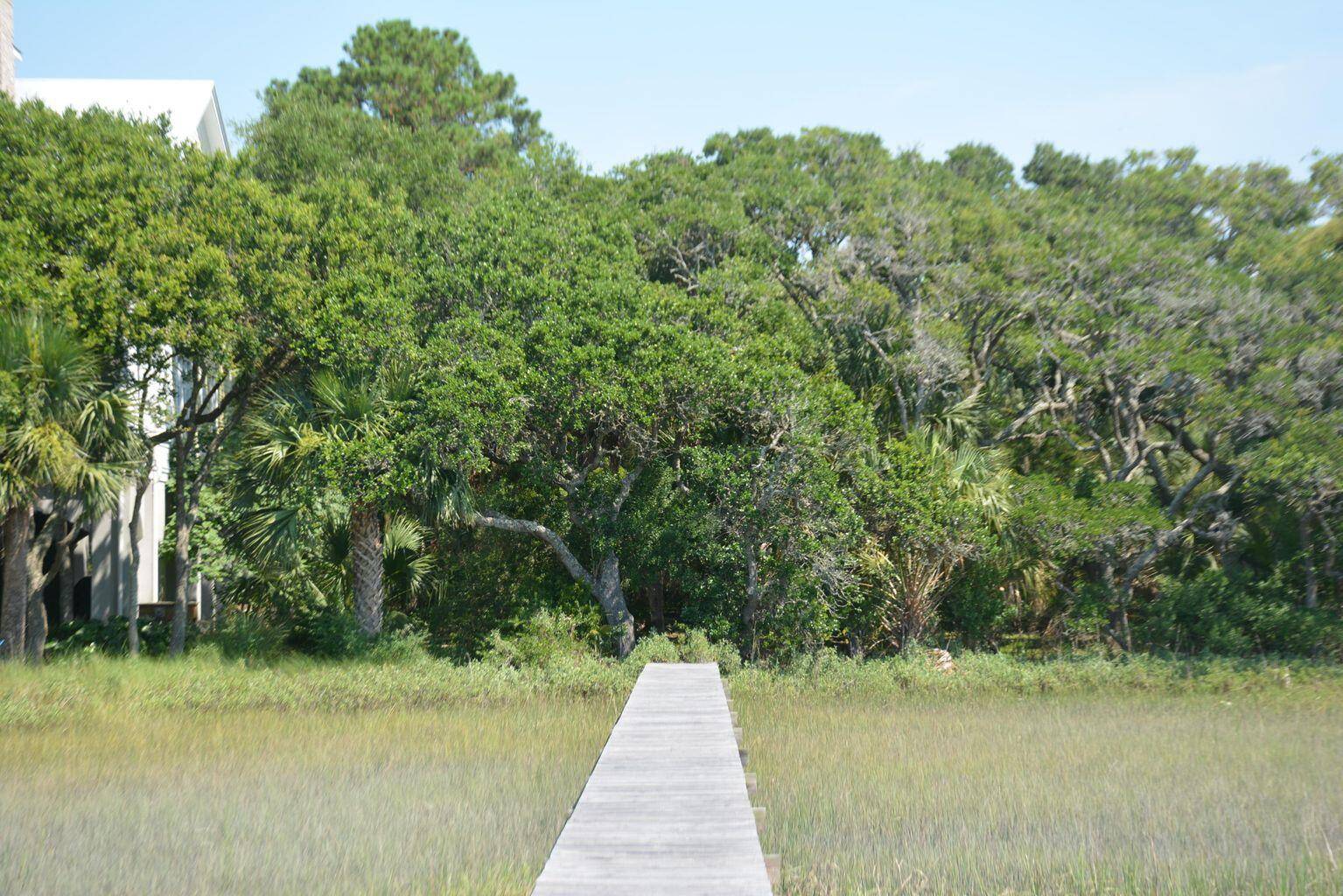 Edisto Island, SC 29438,14 Hammocks Way