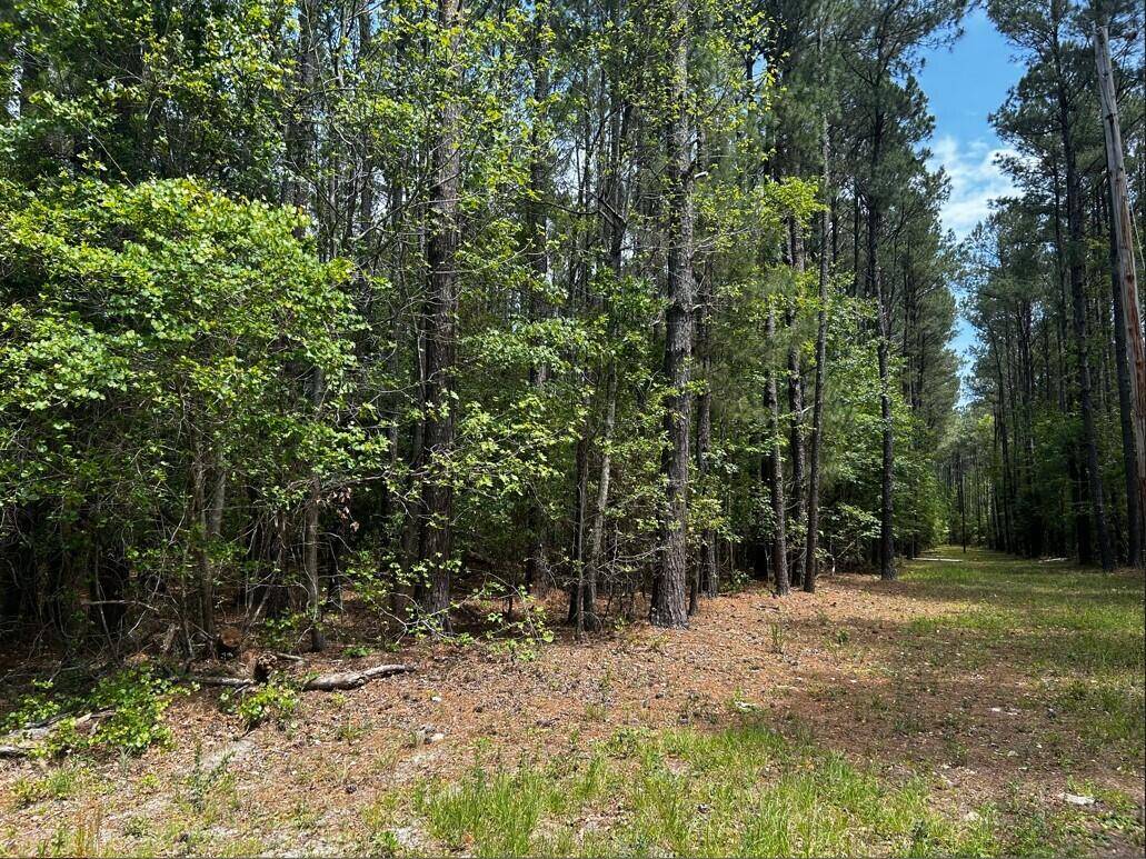 Dorchester, SC 29437,Lot 2a Zion Rd