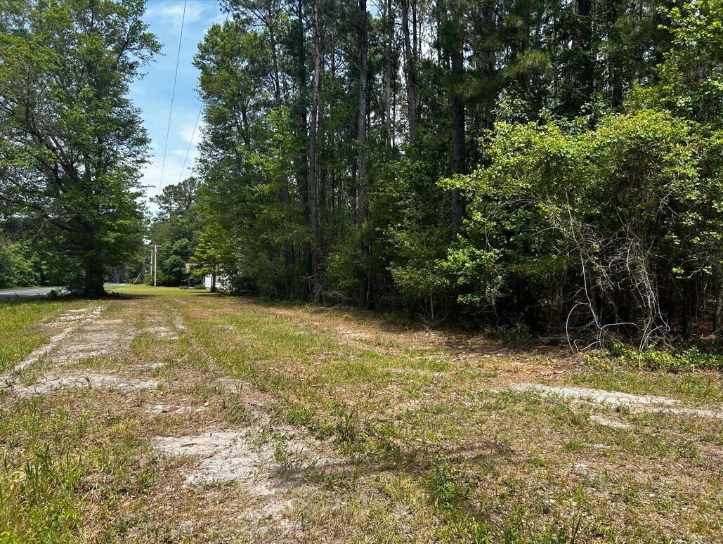 Dorchester, SC 29437,Lot 2a Zion Rd