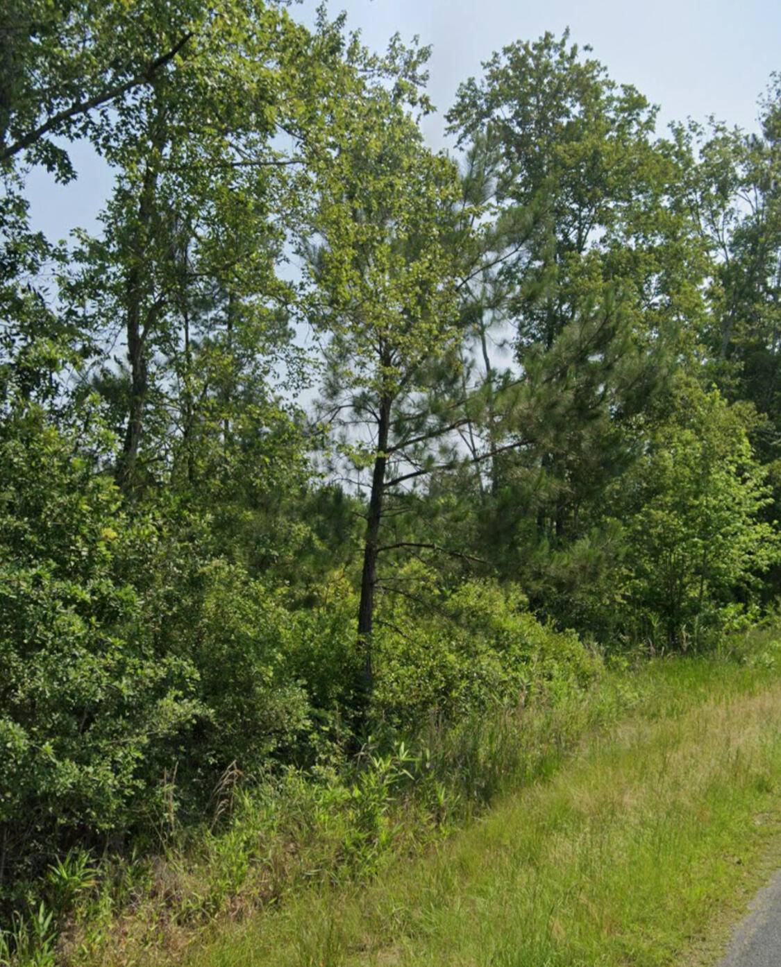 Cottageville, SC 29435,0 Wesley Chapel Ave