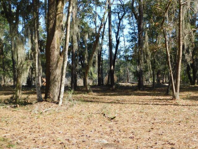 Edisto Island, SC 29438,7774 Chaplin Garden Ln