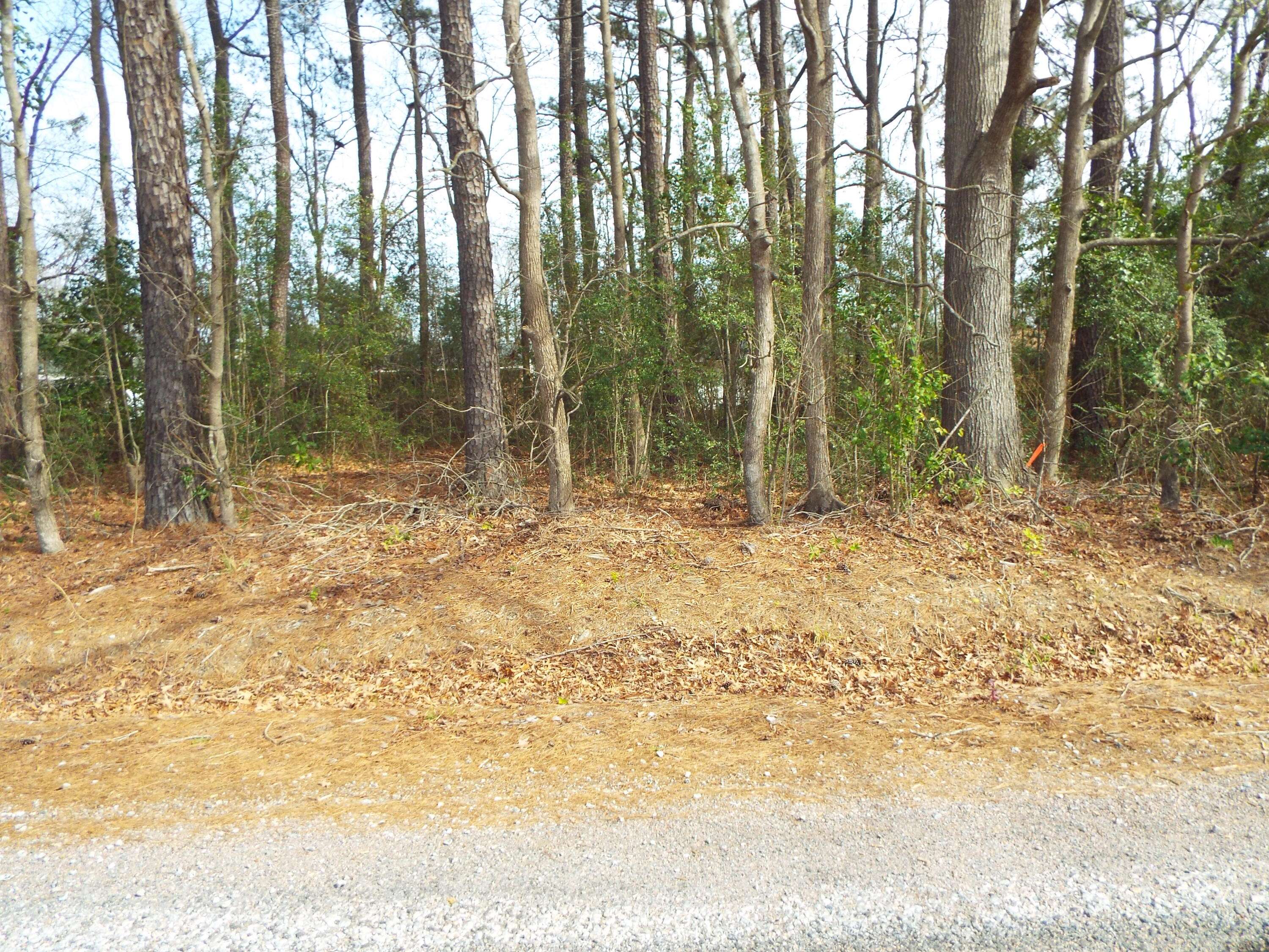 Goose Creek, SC 29445,0 Dennis Dr #Lot 25