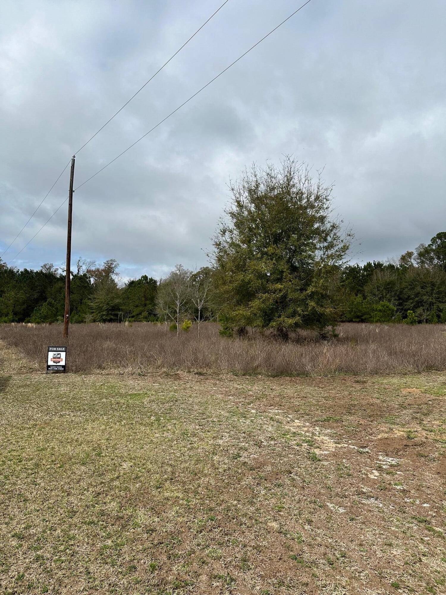 Edisto Island, SC 29438,Lot 19 Berry Manor Ln