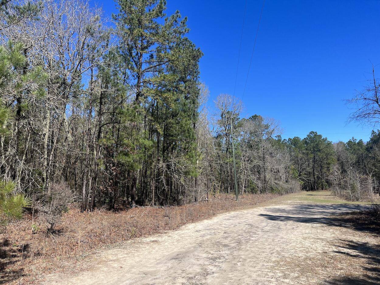 Walterboro, SC 29488,01 China Ct