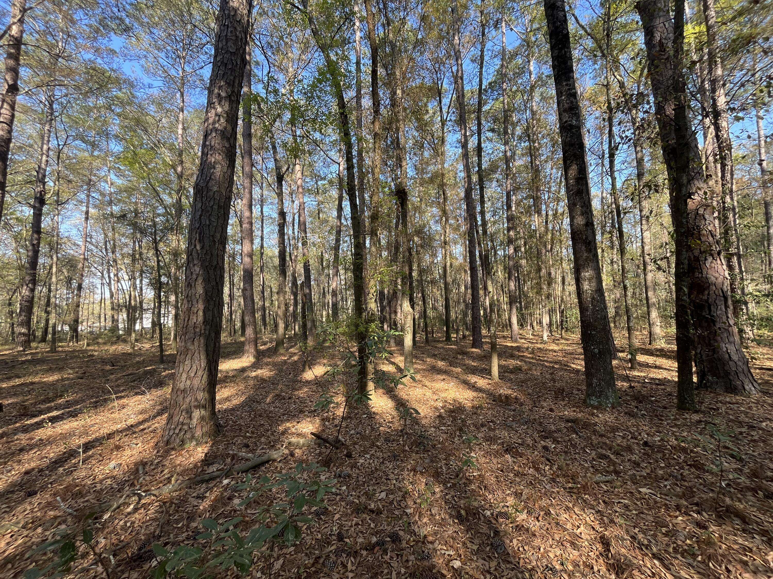 Adams Run, SC 29426,Lot #3 Old Military Rd