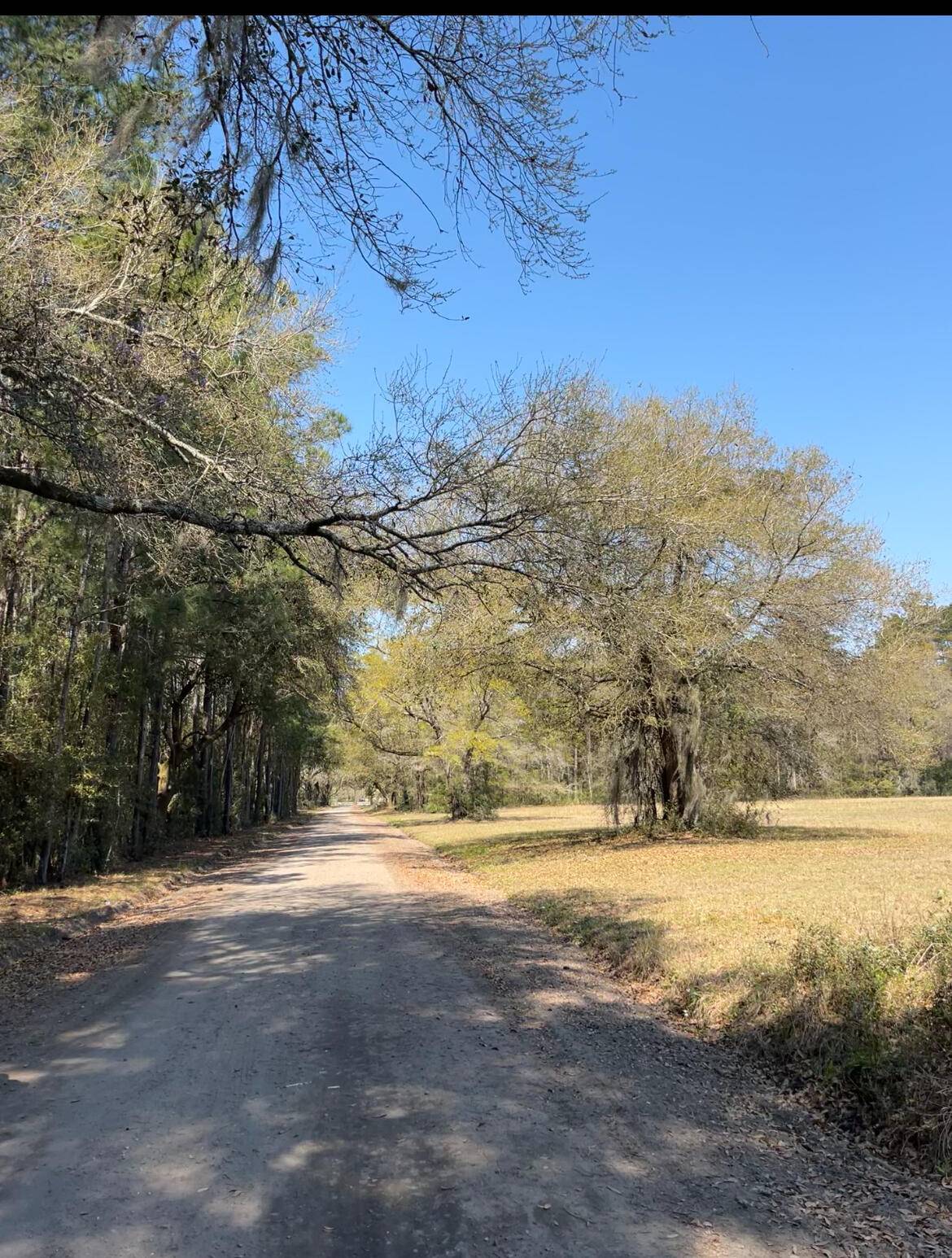 Adams Run, SC 29426,Lot #3 Old Military Rd