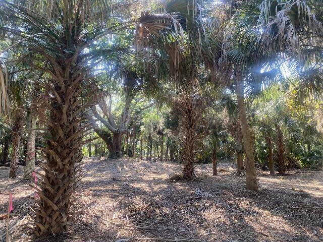 Edisto Beach, SC 29438,3412 Myrtle St