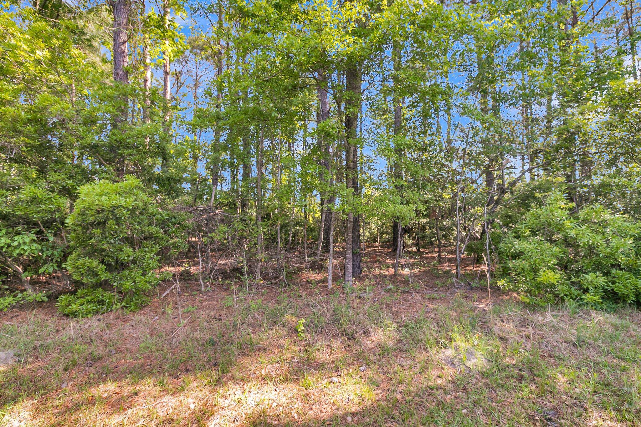 Ridgeville, SC 29472,02 Poplar Hill