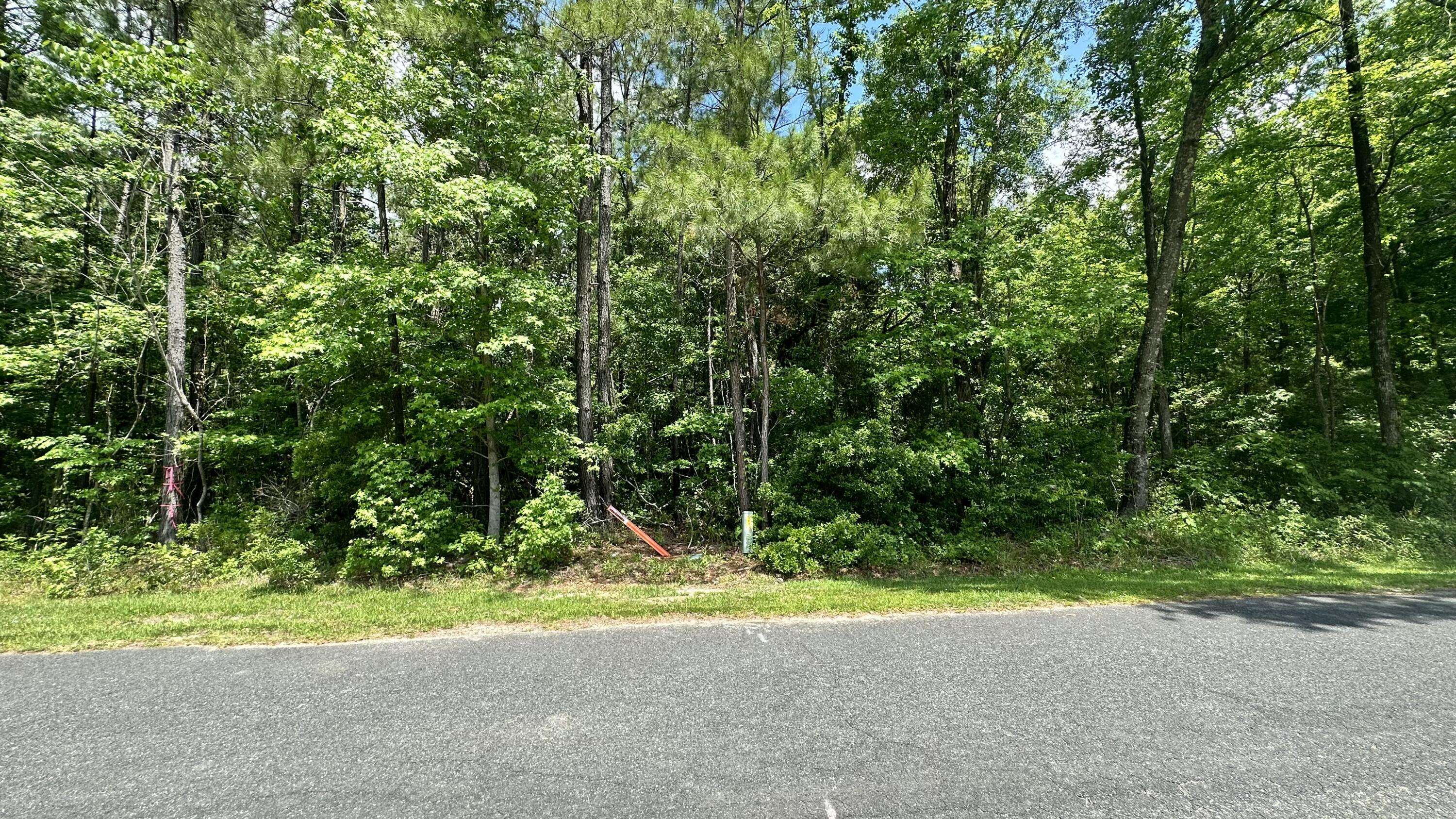 Huger, SC 29450,0 Bannerhill Rd