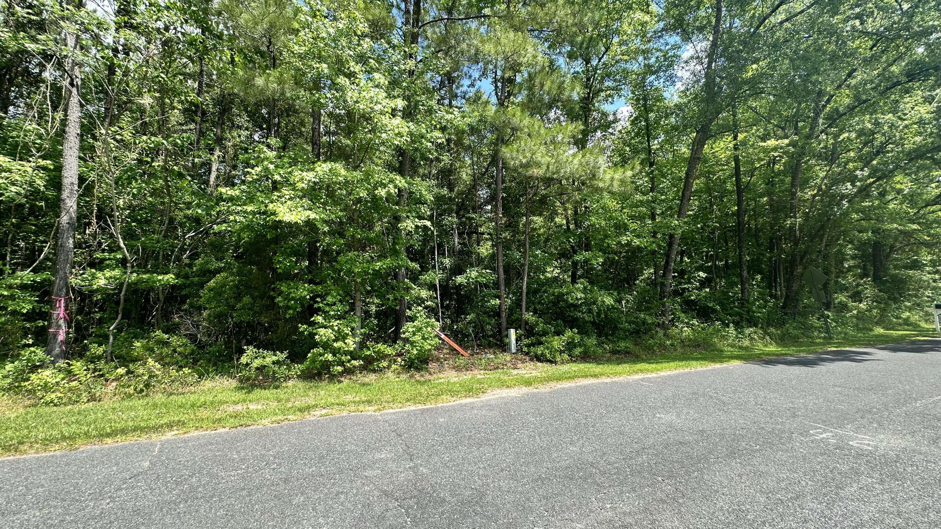 Huger, SC 29450,0 Bannerhill Rd