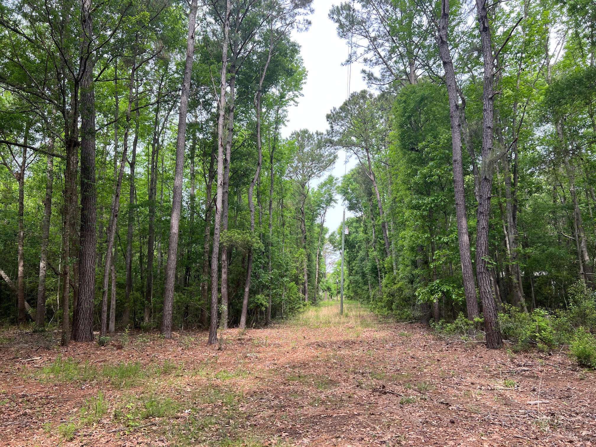 Edisto Island, SC 29438,3 Red House Rd #Lot 3