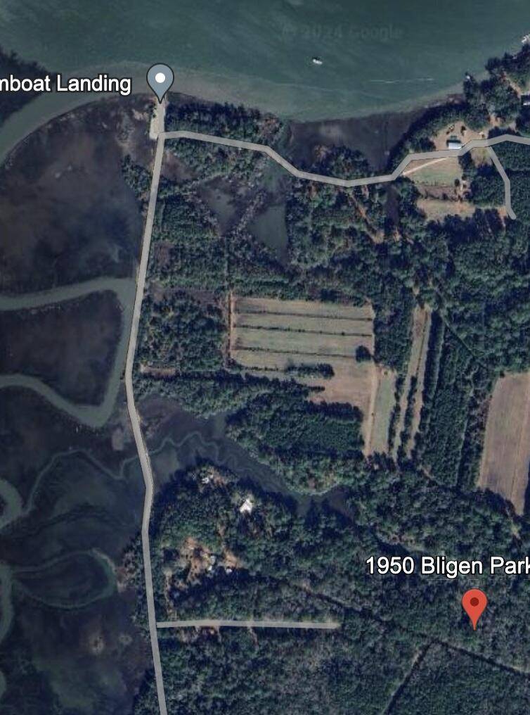 Edisto Island, SC 29438,1950 Bligen Parker Ln