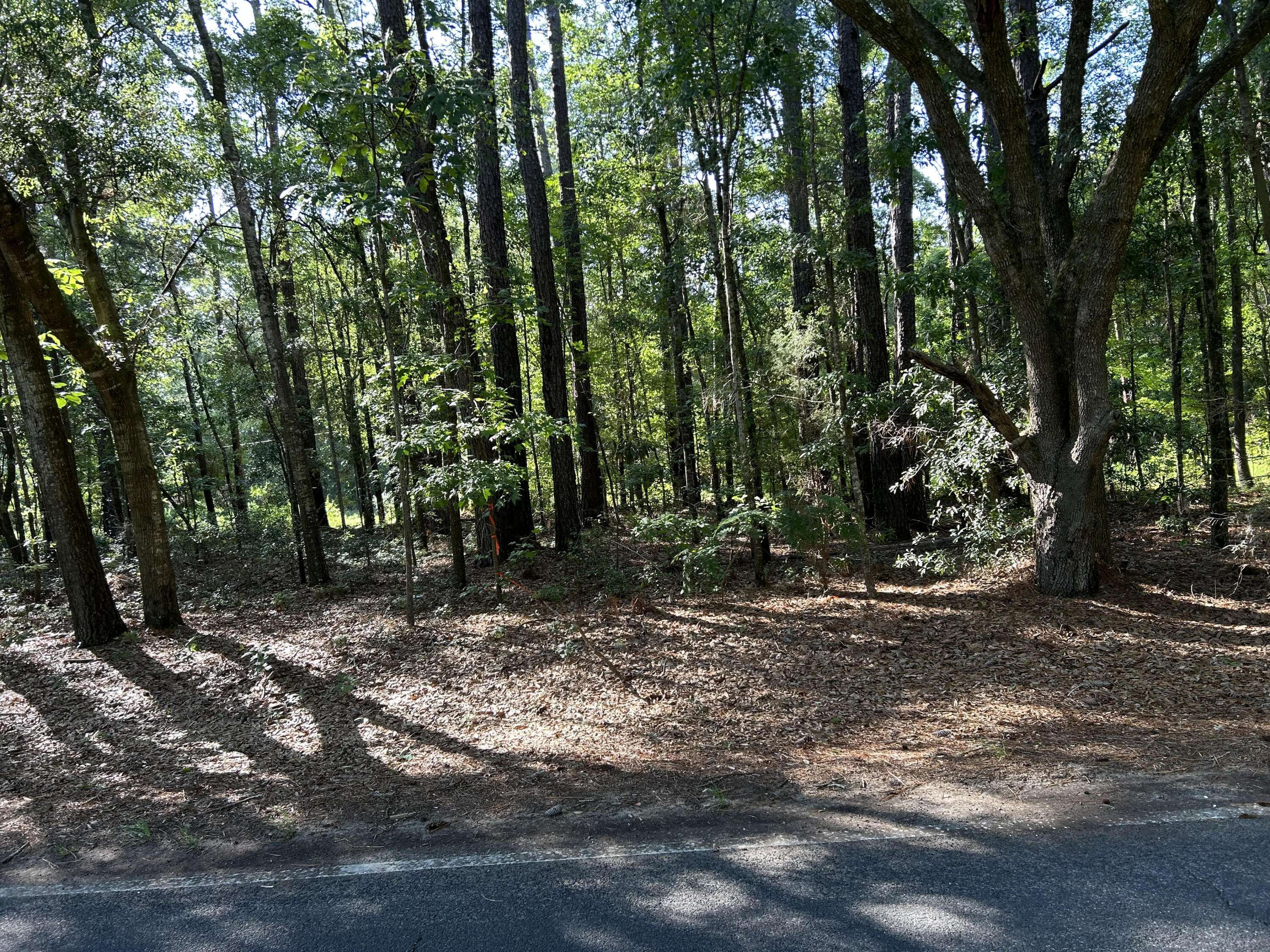 Ravenel, SC 29470,1 Martin St.